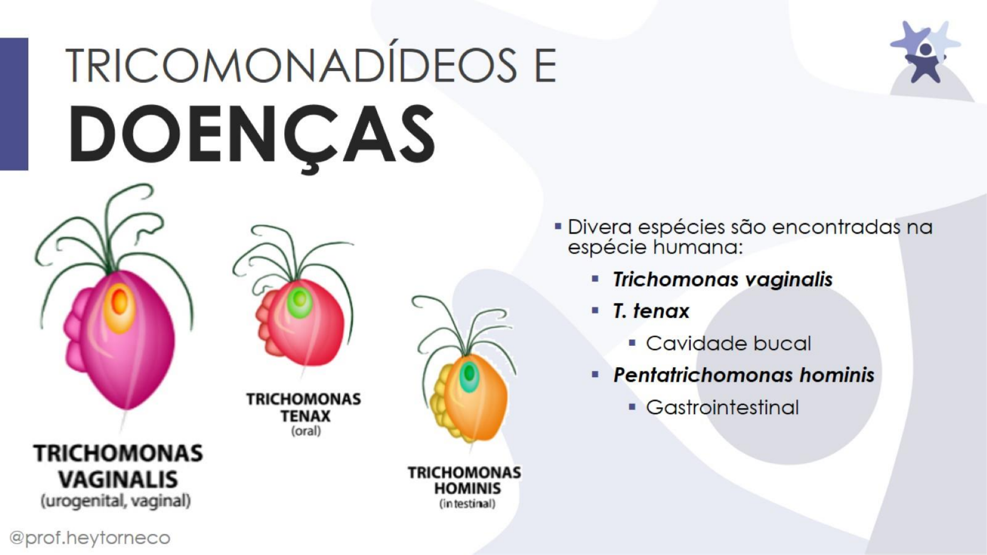 O Que é Tricomoníase Tem Cura - FDPLEARN