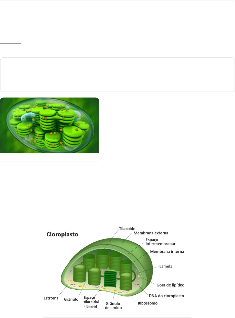 Grátis: 1 Via glicolítica + Regulação Bioquímica II - Material Claro e  Objetivo em PDF para Estudo Rápido, image size:946x1279