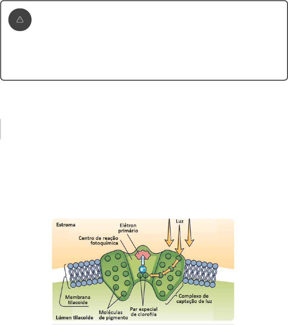 Curva Glicêmica | PDF | Diabetes | Hipoglicemia, image size:949x1071