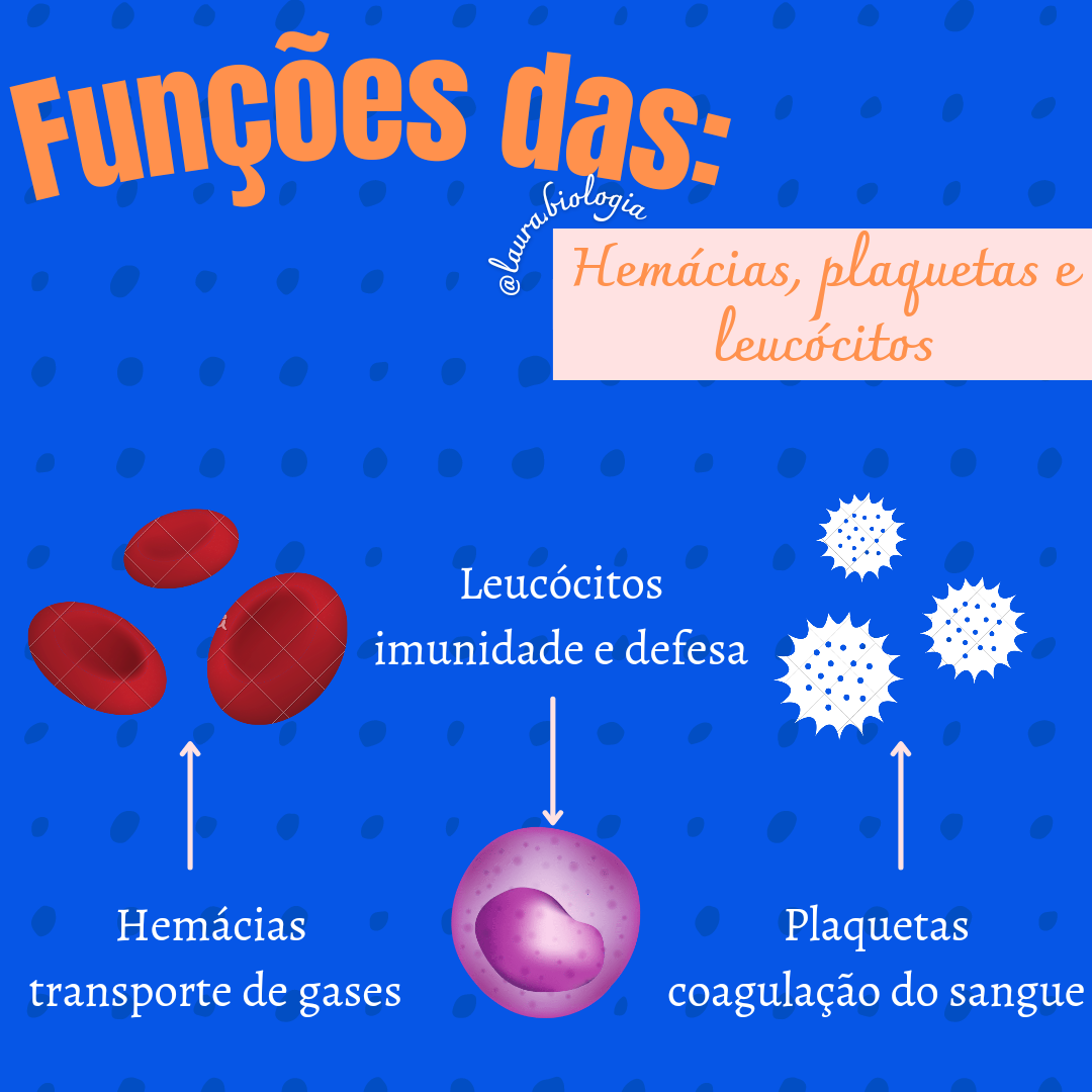 hemácias, leucócitos e plaquetas - Biologia