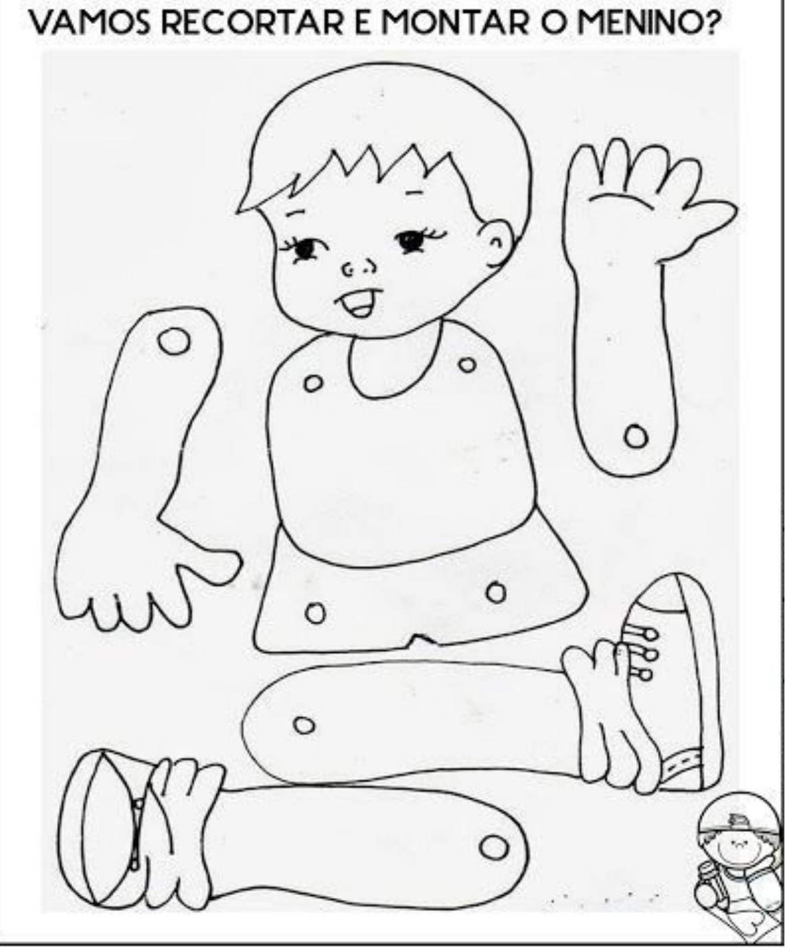 Grátis: ciencias membros corpo humano - Material Claro e Objetivo em PDF  para Estudo Rápido, image size:1144x1381