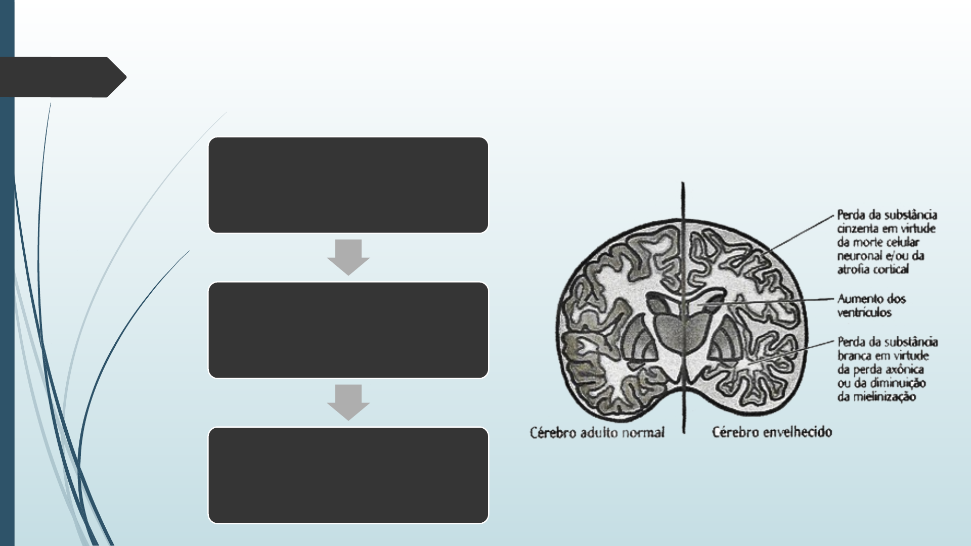 Different loneliness types, cognitive function, and brain structure in  midlife: Findings from the Framingham Heart Study - eClinicalMedicine