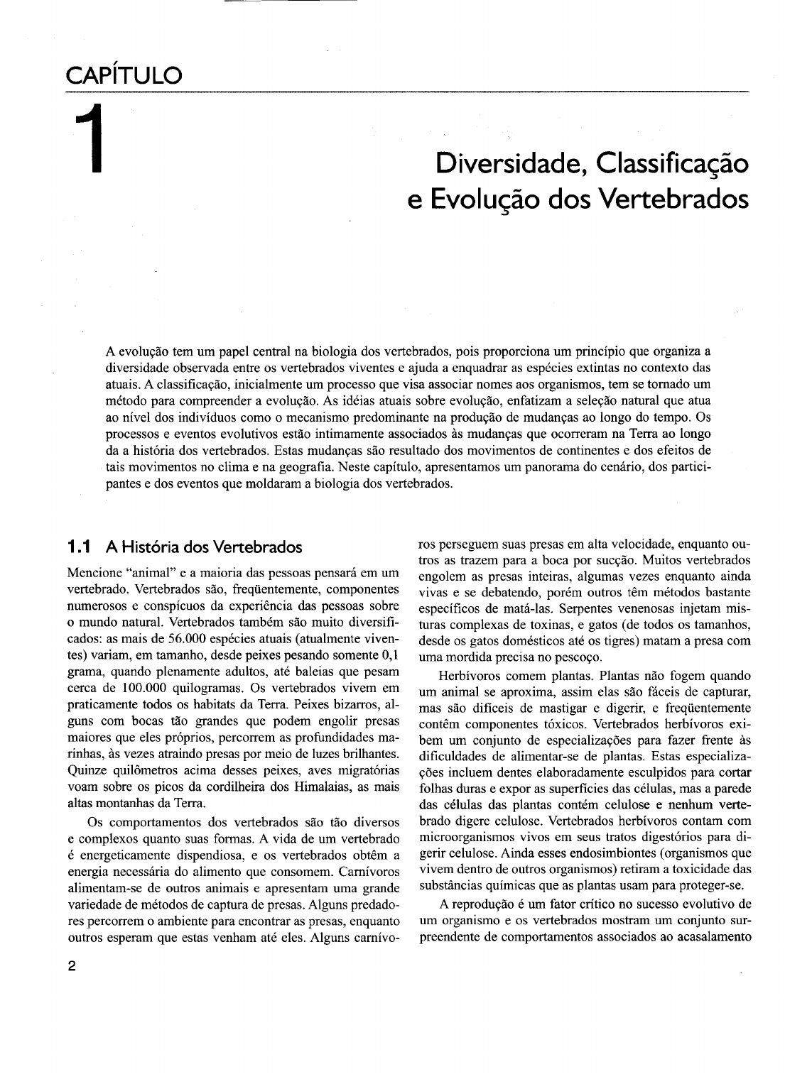 Teste Padrão Vivo Da Pele Do Crocodilo Do Corpo Vivo Para O Fundo