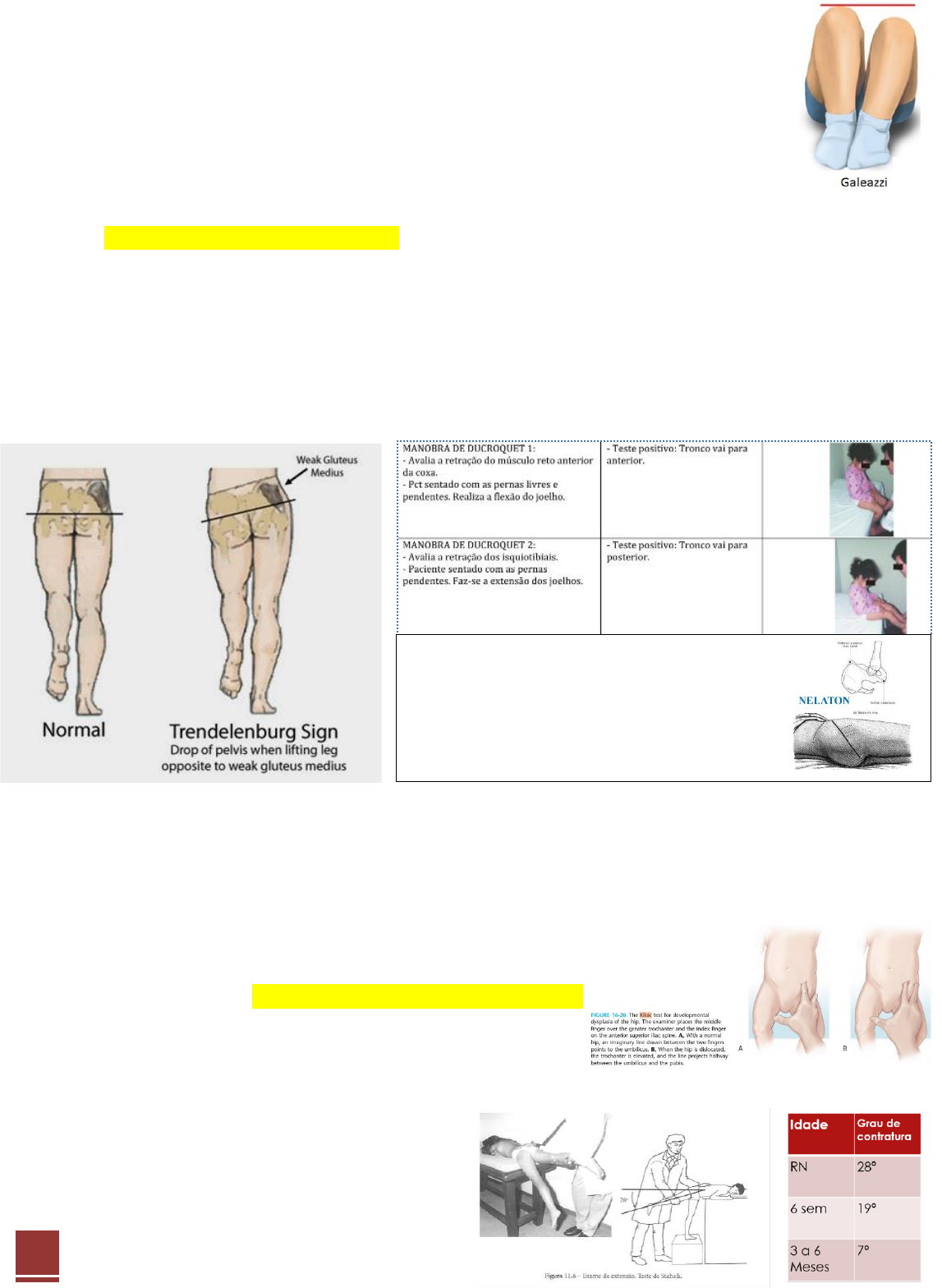 GAP glúteos, abdomen, piernas / buttocks, abdomen, legs: Anatomia