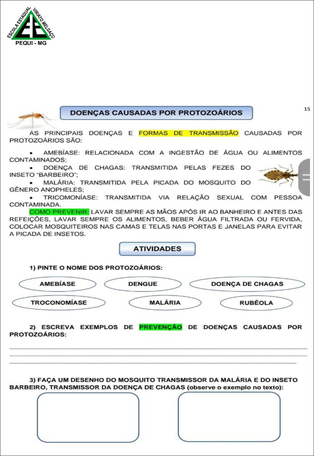 Grátis: atividades de ciencias reino monera e bacterias - Material Claro e  Objetivo em PDF para Estudo Rápido
