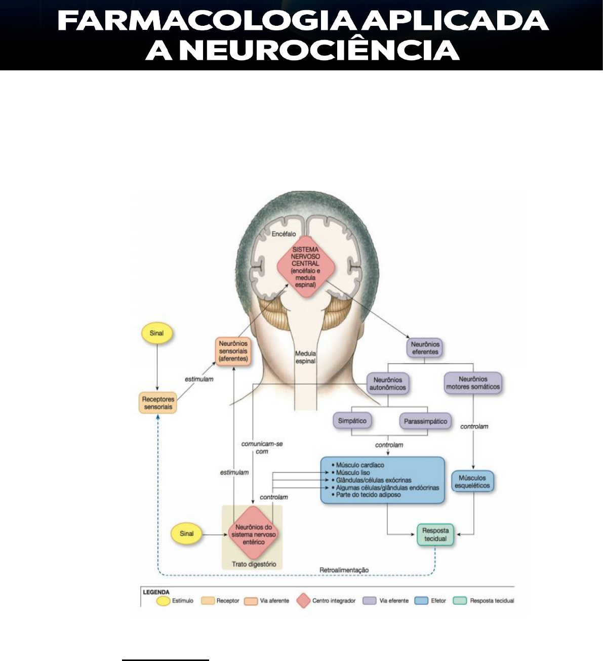 FARMACOLOGIA-APLICADA-À-NEUROCIÊNCIA - Psicologia