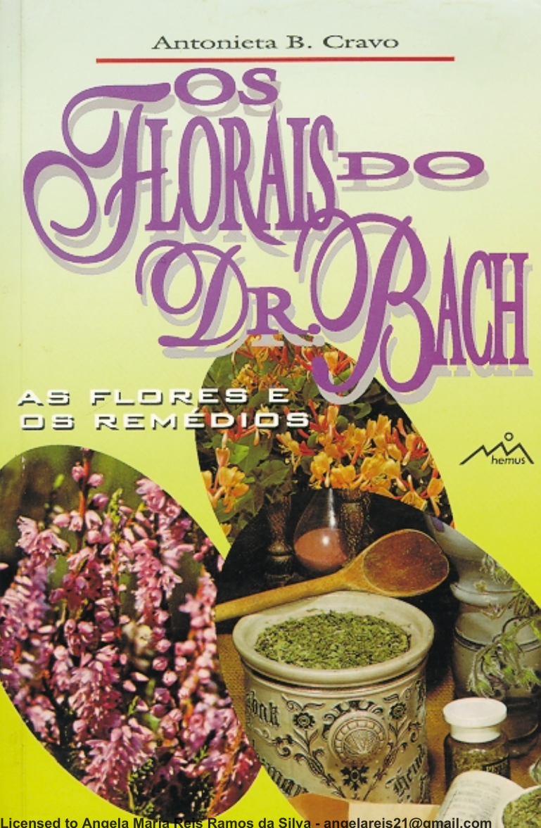 Paciência Flor Silvestre - Jogue Online