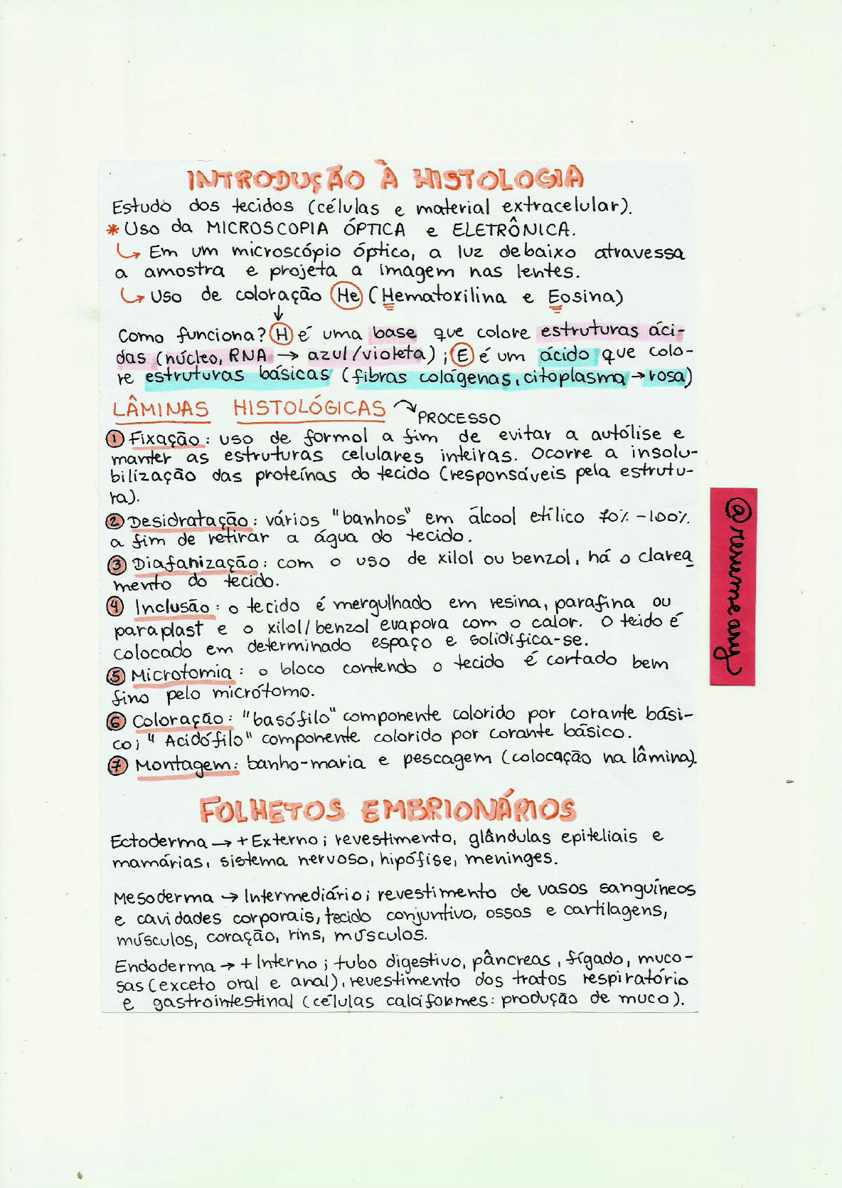 Introdução à Histologia Mapa Mental 6402