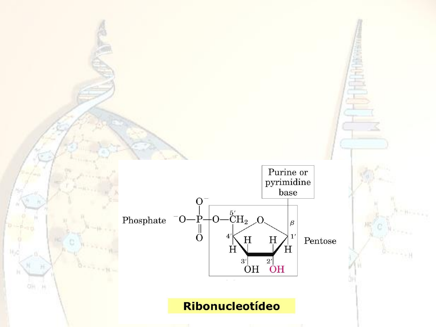 Testes de síntese proteica | Blog do Prof. Djalma Santos, image size:1440x1080