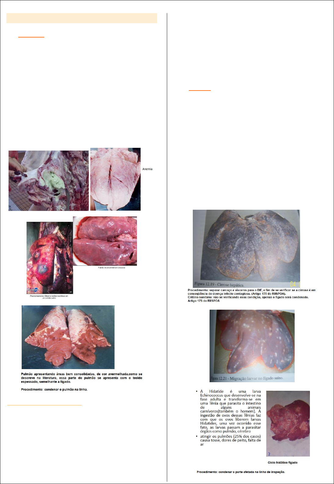 Grátis: Inspeção post-mortem de Suínos - Material Claro e Objetivo em PDF  para Estudo Rápido, image size:1095x1588