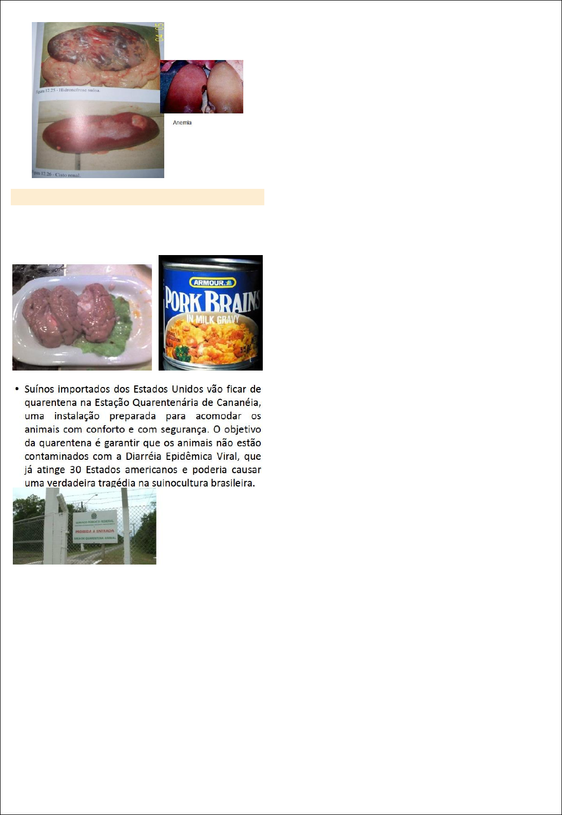 Grátis: AULA 2 HISTO - Material Claro e Objetivo em PDF para Estudo Rápido, image size:1095x1588