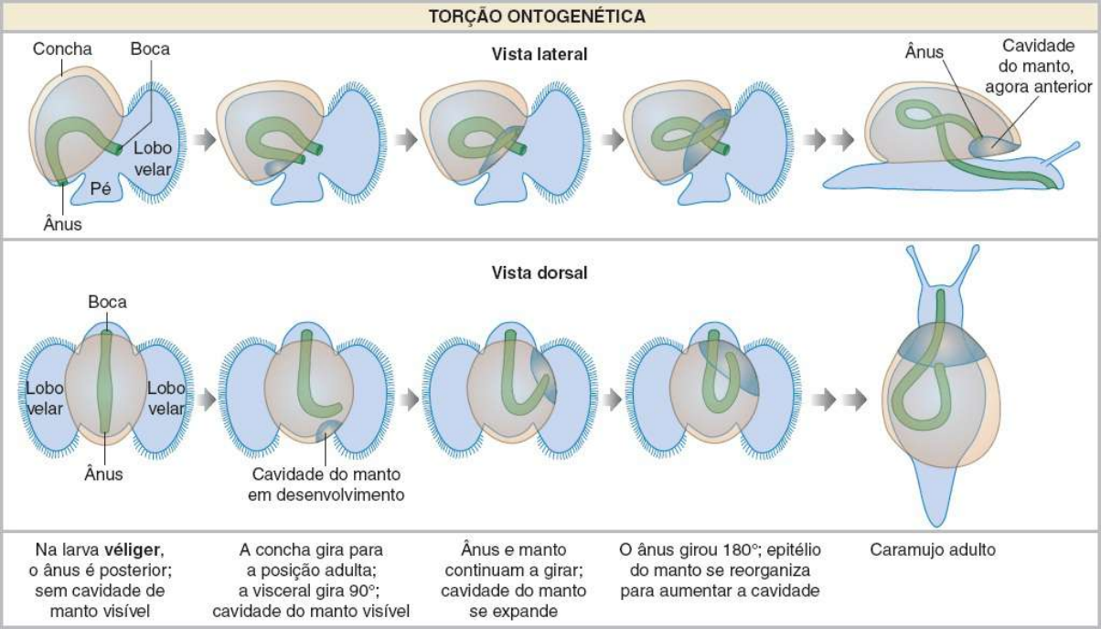 Por que a busca do Google está tão RUIM hoje em dia? (Sem busca contextual  funcionando) : r/LinusTechTips, image size:1204x688