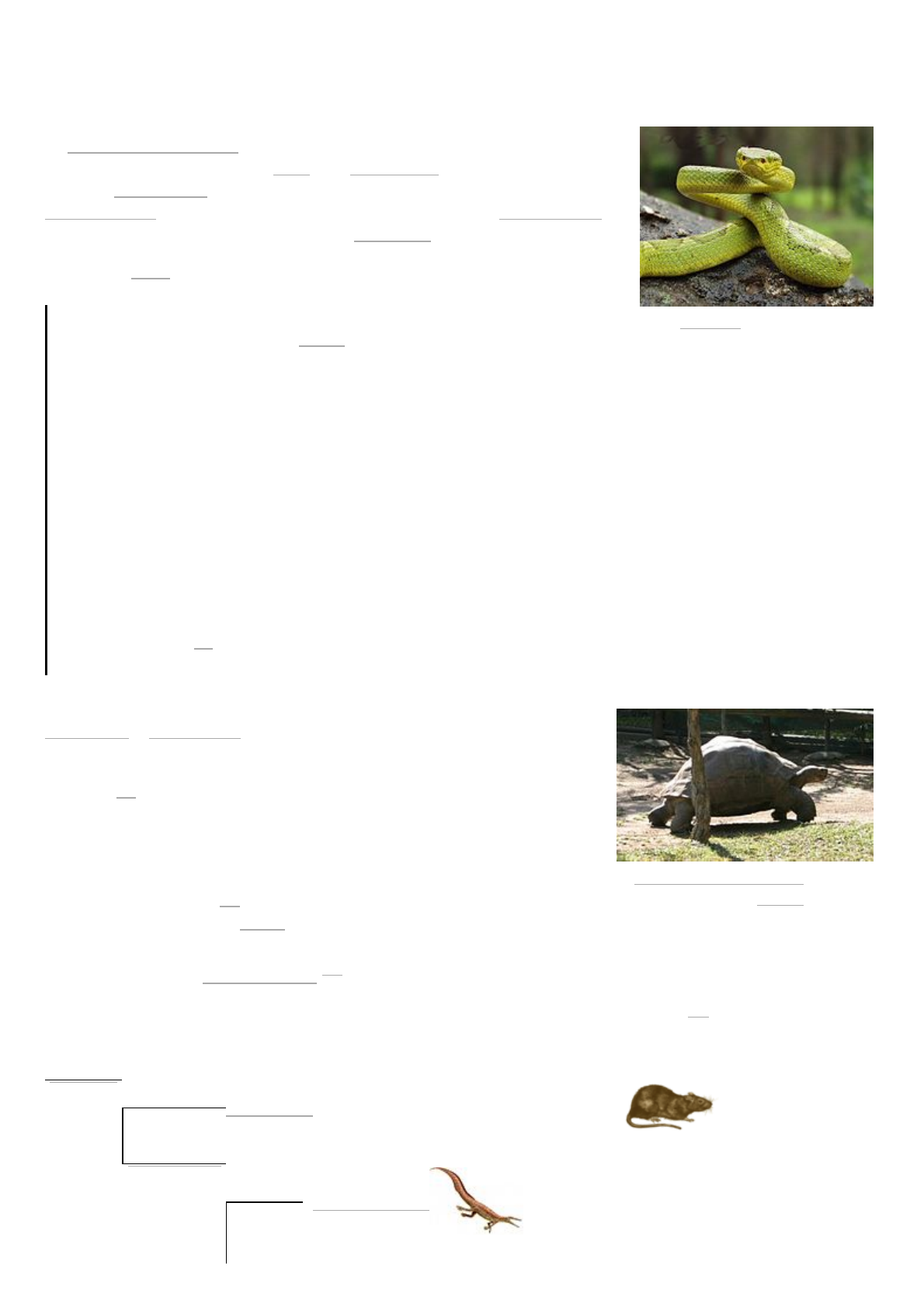 Serpente – Wikipédia, a enciclopédia livre