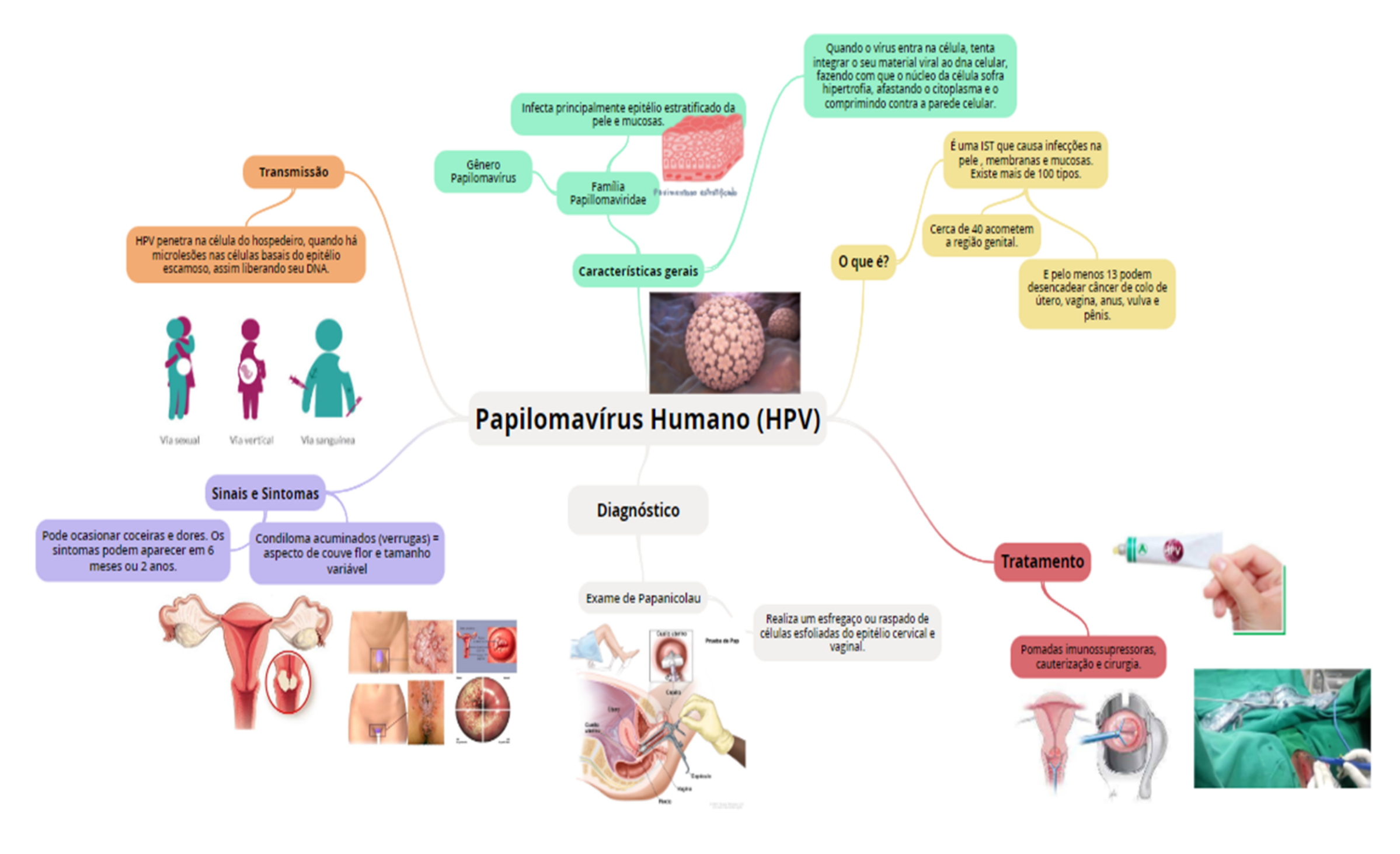 Grátis: Mapa mental HPV - Material Claro e Objetivo em PDF para Estudo  Rápido