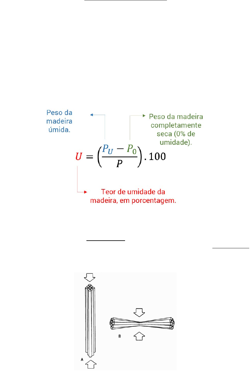 Estrutura de madeira - Av1 Estrutura de Madeira