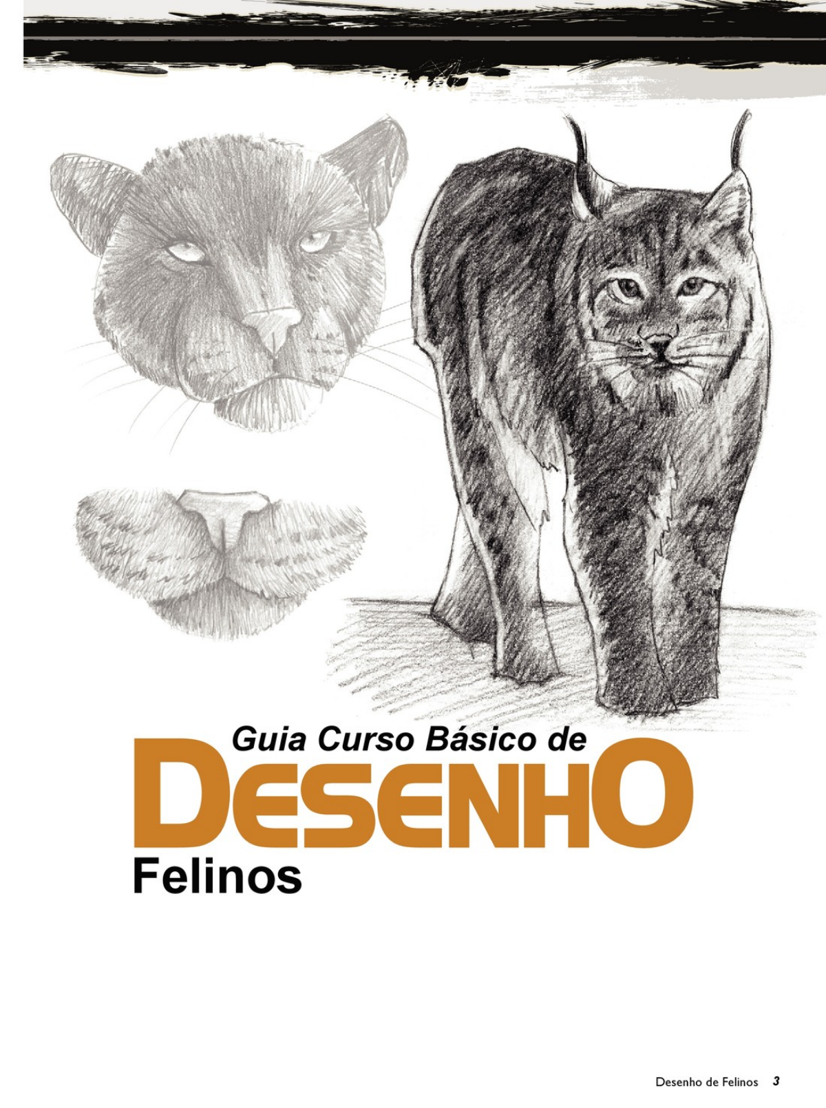 Guia Curso Básico De Desenho Felinos Ed 01 2016 Desenho Básico