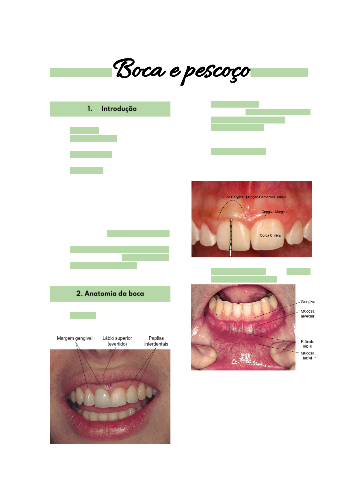 Grátis: PATOLOGIA RESUMOS - Material Claro e Objetivo em PDF para Estudo  Rápido, image size:1191x1684