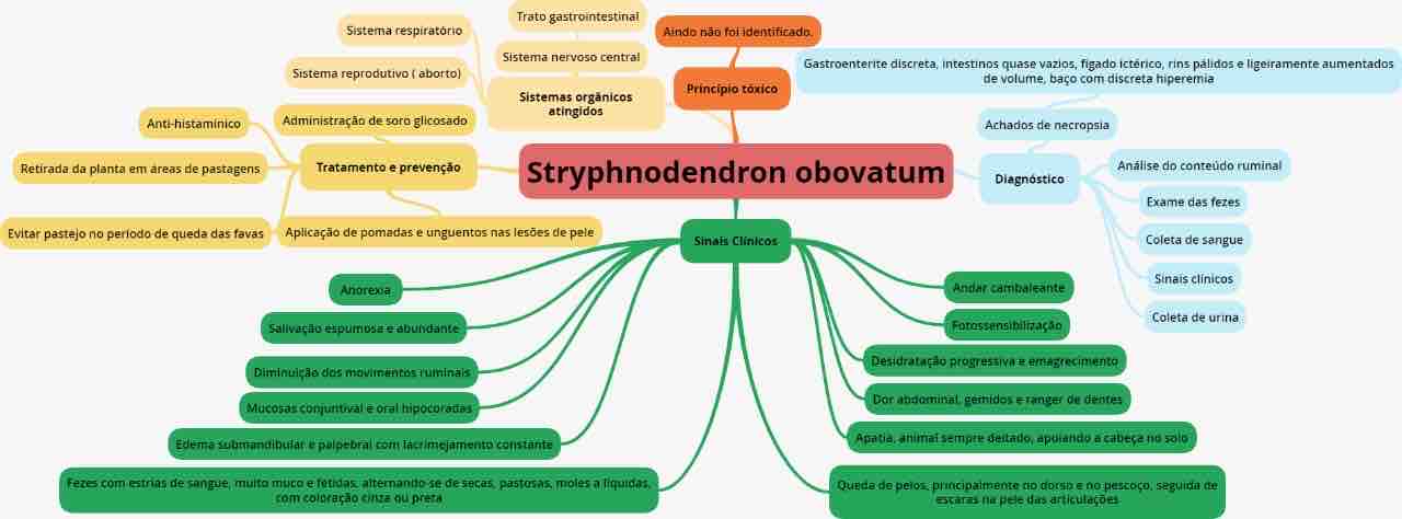 mapa mental Stryphnodendron obovatum - Toxicologia Veterinária