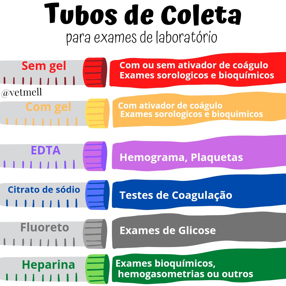 Tubos de Coleta para exames laboratoriais - Patologia Cl\u00ednica Veterin\u00e1ria