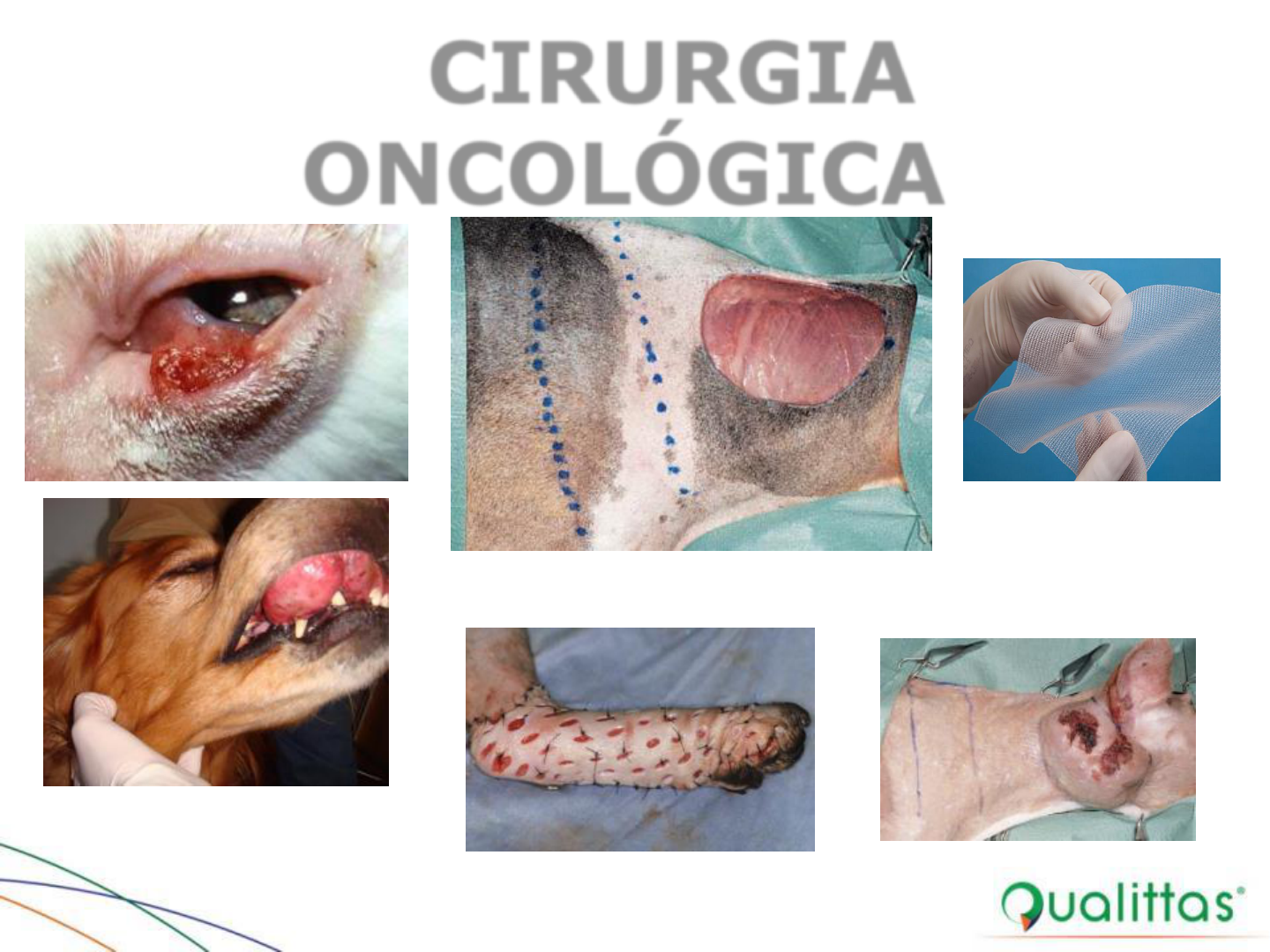 PRINC PIOS DA CIRURGIA ONCOLOGICA E TECNICAS RECONSTRUTIVAS