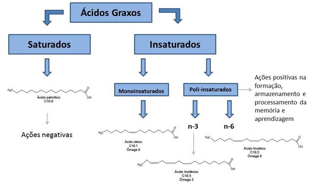 acidos graxos saturados e insaturados - Composição dos Alimentos