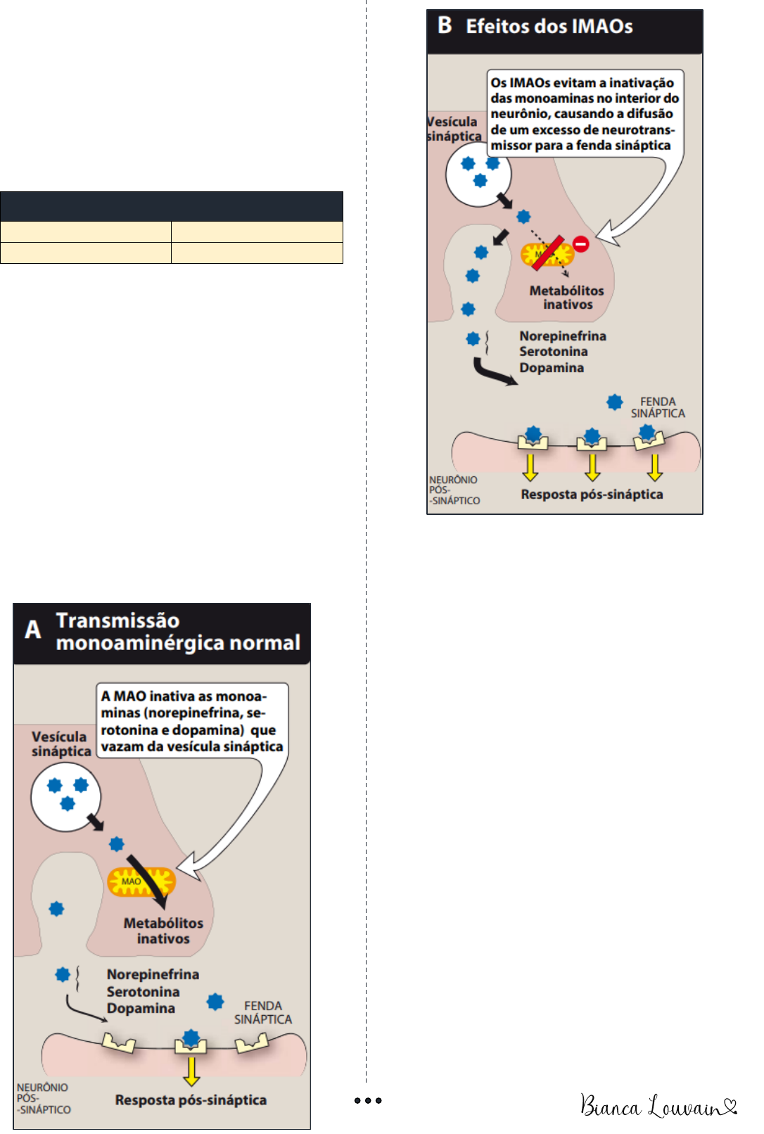 WebFarmacêutica - 💊A fluoxetina e a sibutramina são fármacos que pertencem  à classe de medicamentos inibidores seletivos da recaptação de serotonina.  Ou seja, ao atuarem, inibem a proteína que se localiza no