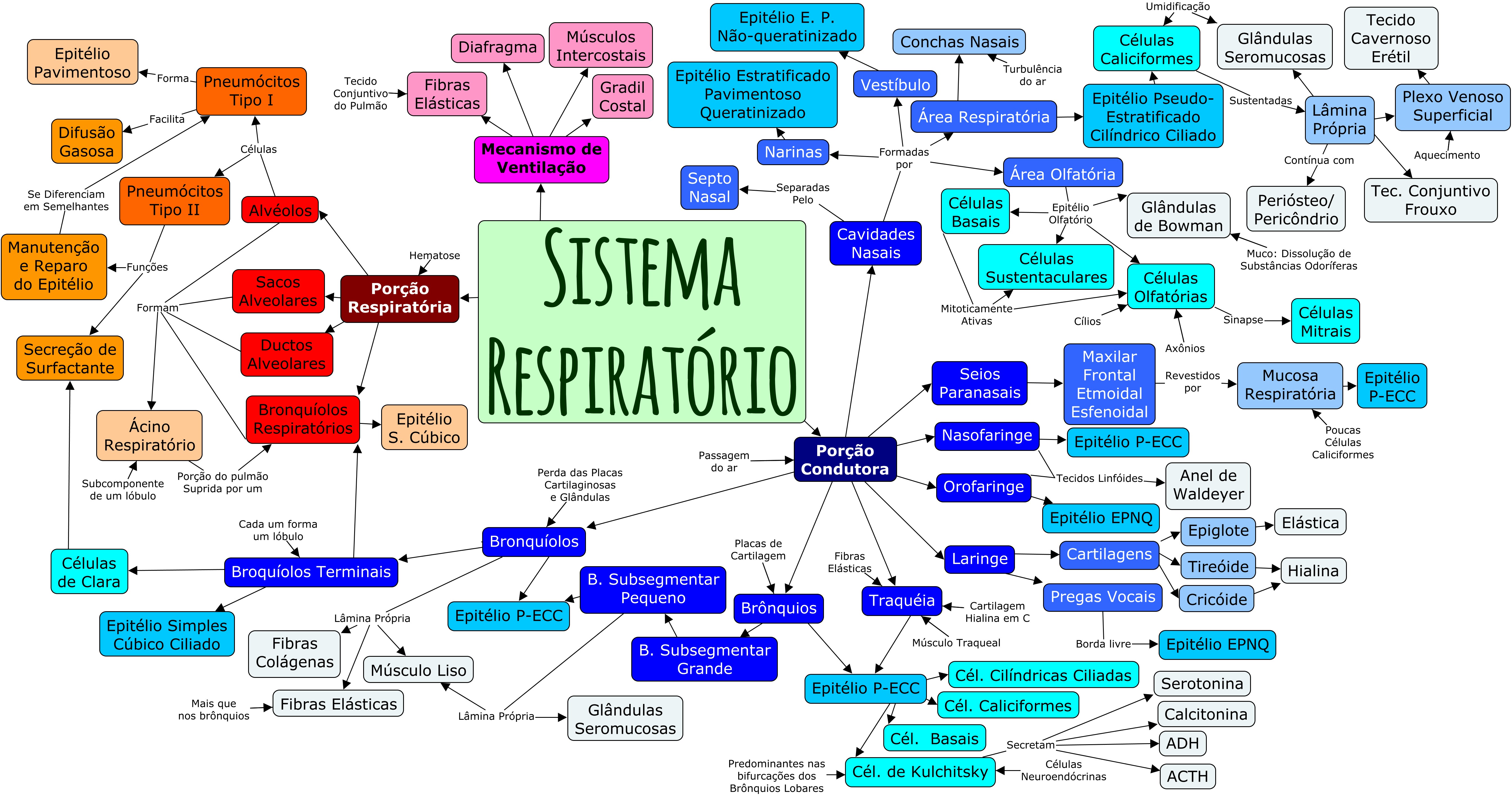 Histologia - Mapa mental: Sistema Respiratório - Histologia I