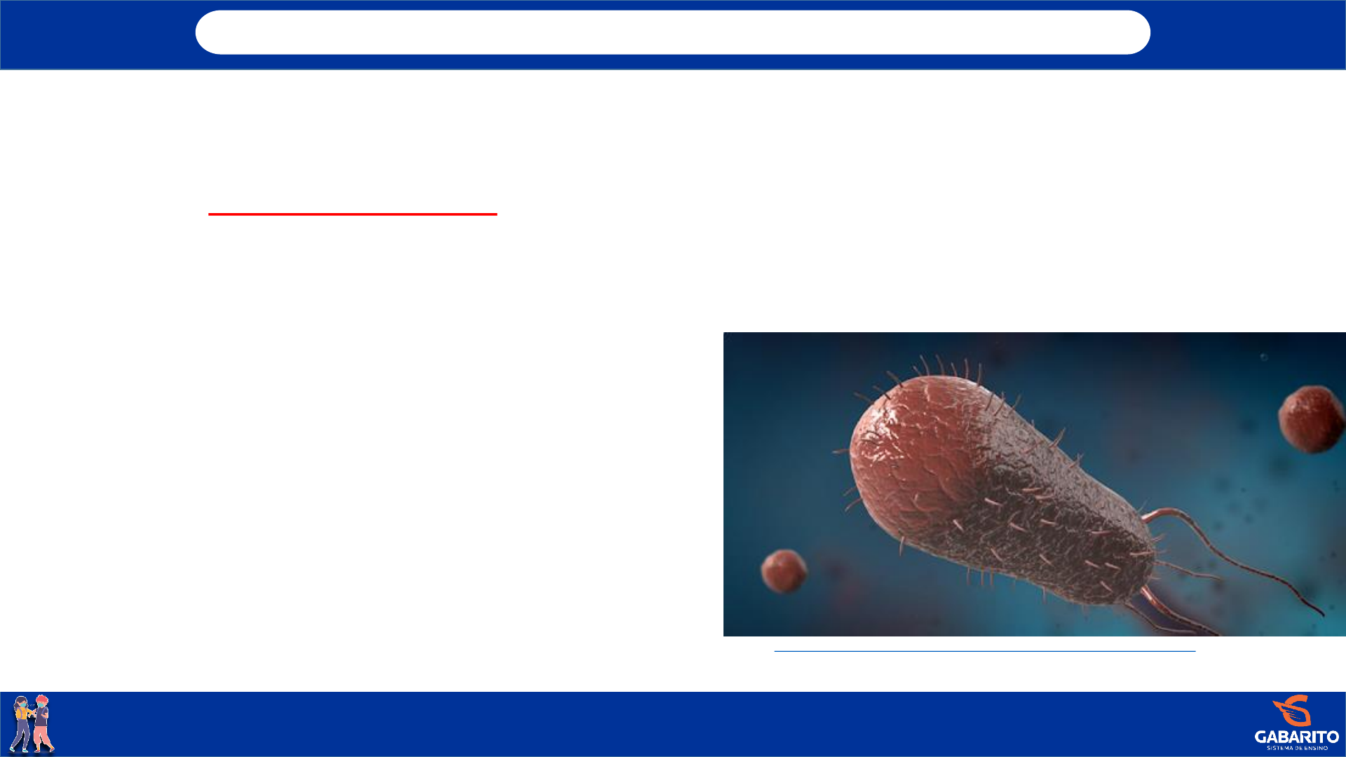 Grátis: Reino Monera Bactérias 2ano - Material Claro e Objetivo em PDF para  Estudo Rápido