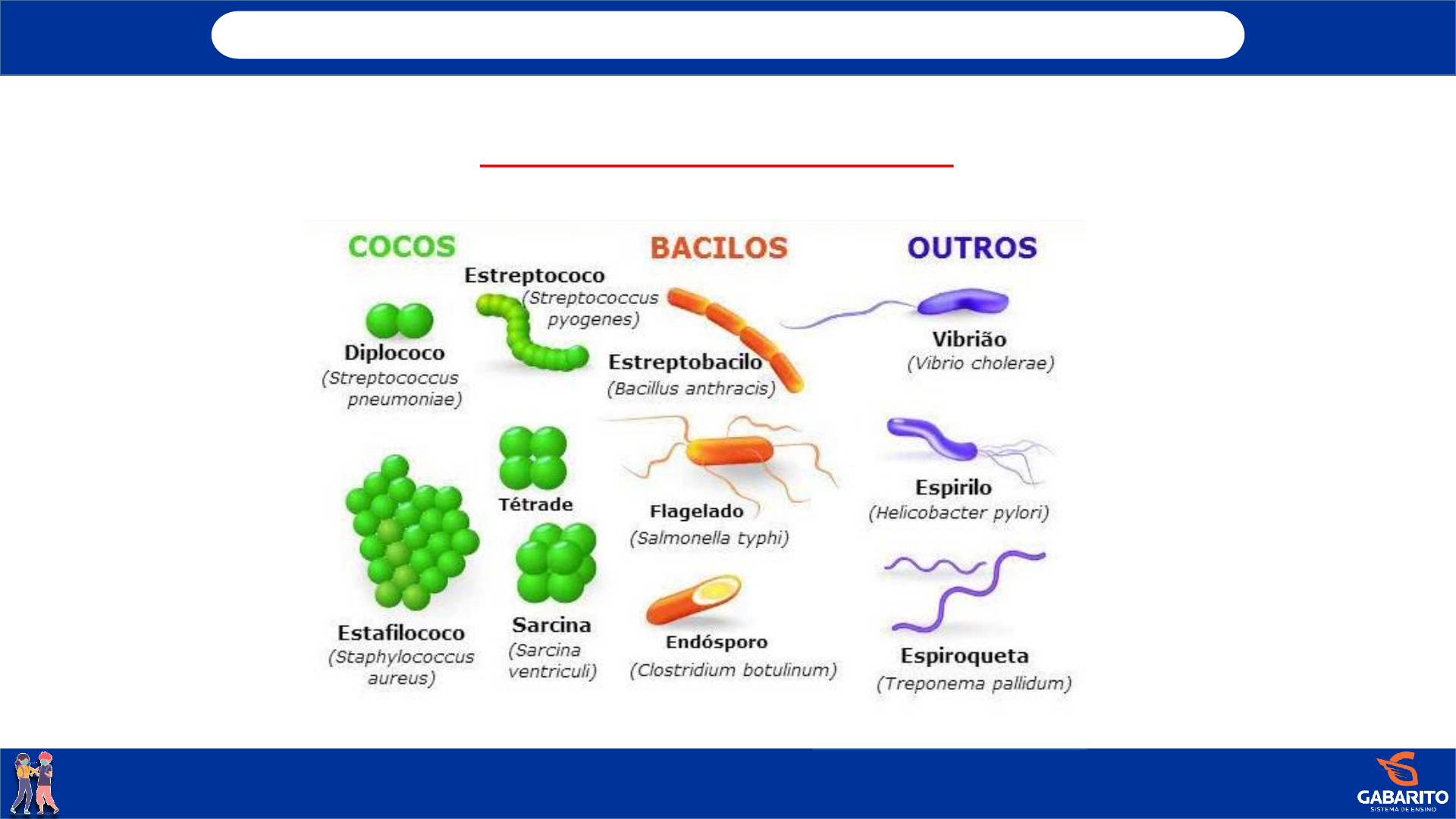 Grátis: Reino Monera Bactérias 2ano - Material Claro e Objetivo em PDF para  Estudo Rápido