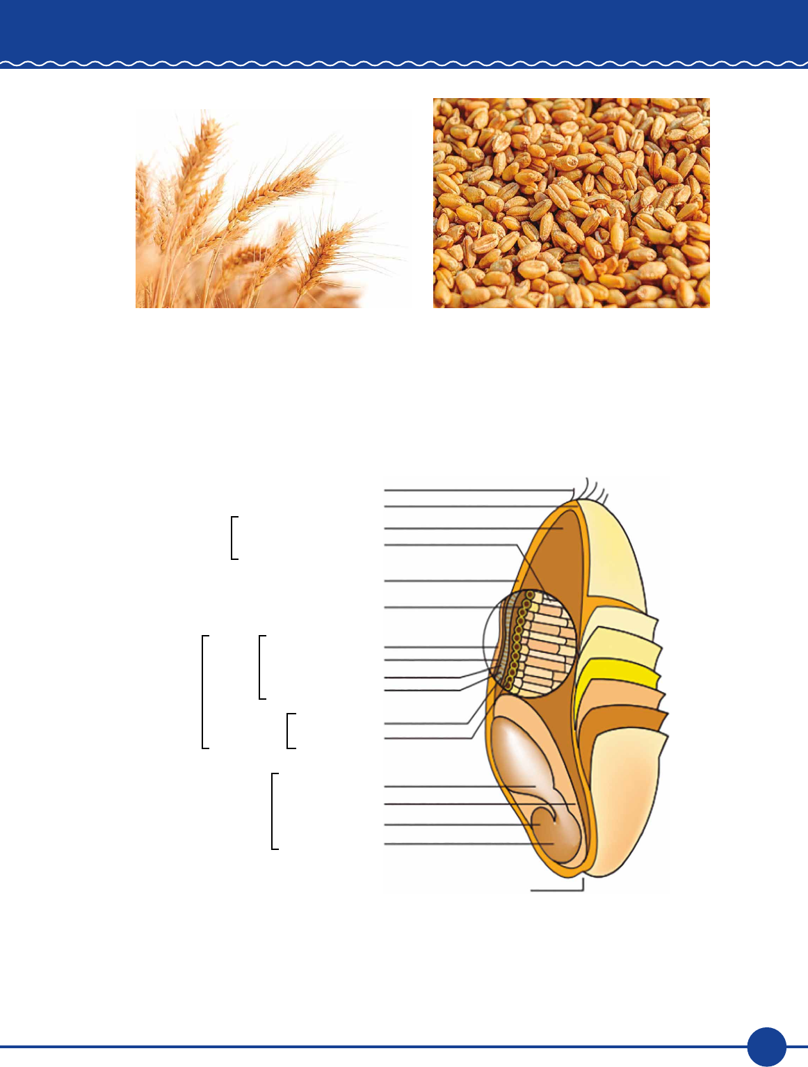 Bicarbonato De Sódio Moinho De Vento 2 Unidades = 80 Gr Cada