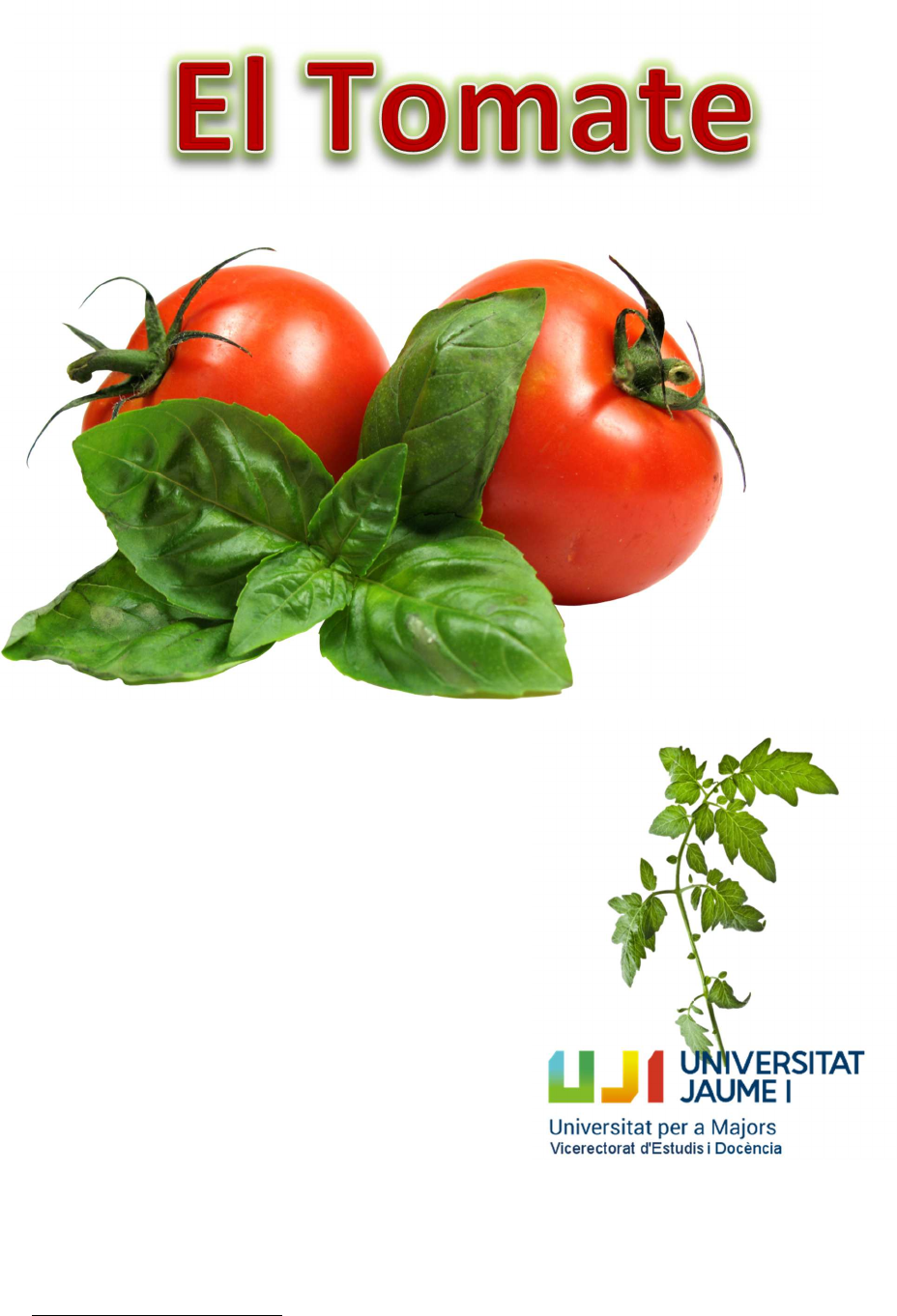 EL-TOMATE studentas - Alimentos | Studenta