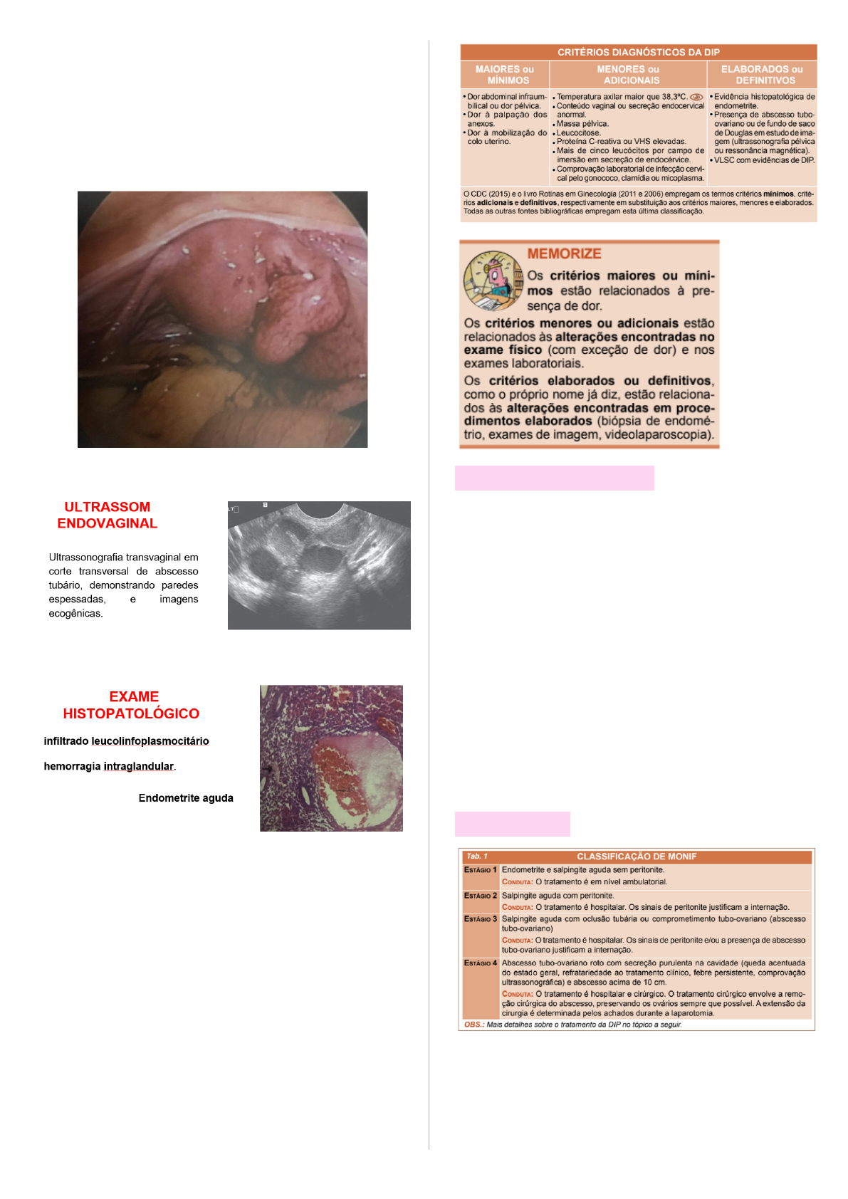 Dr. Carlos Roberto - Ginecologia - A DIPA (Doença Inflamatória Pélvica  Aguda) é uma infecção dos órgãos reprodutivos femininos (útero, trompas e  ovários). ▫ A DIPA ocorre quando bactérias patogênicas proliferam na