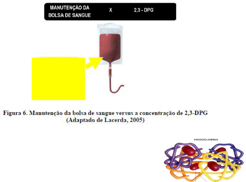 Amostra de sangue para Eritropoietina ou EPO testando um hormônio  estimulante para a produção de RBC