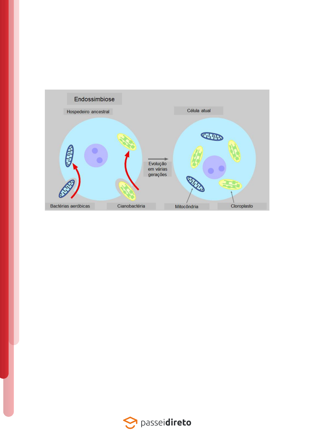 Grátis: Genética de cloroplastos - Material Claro e Objetivo em PDF para  Estudo Rápido, image size:1190x1684