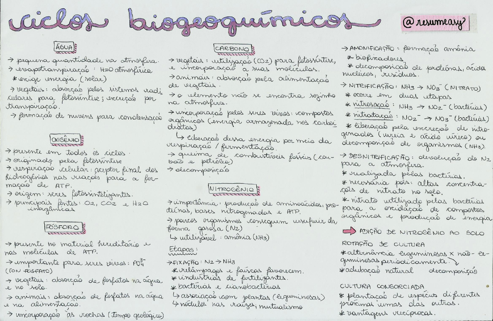 Ciclos Biogeoquímicos Mapa Mental 9992