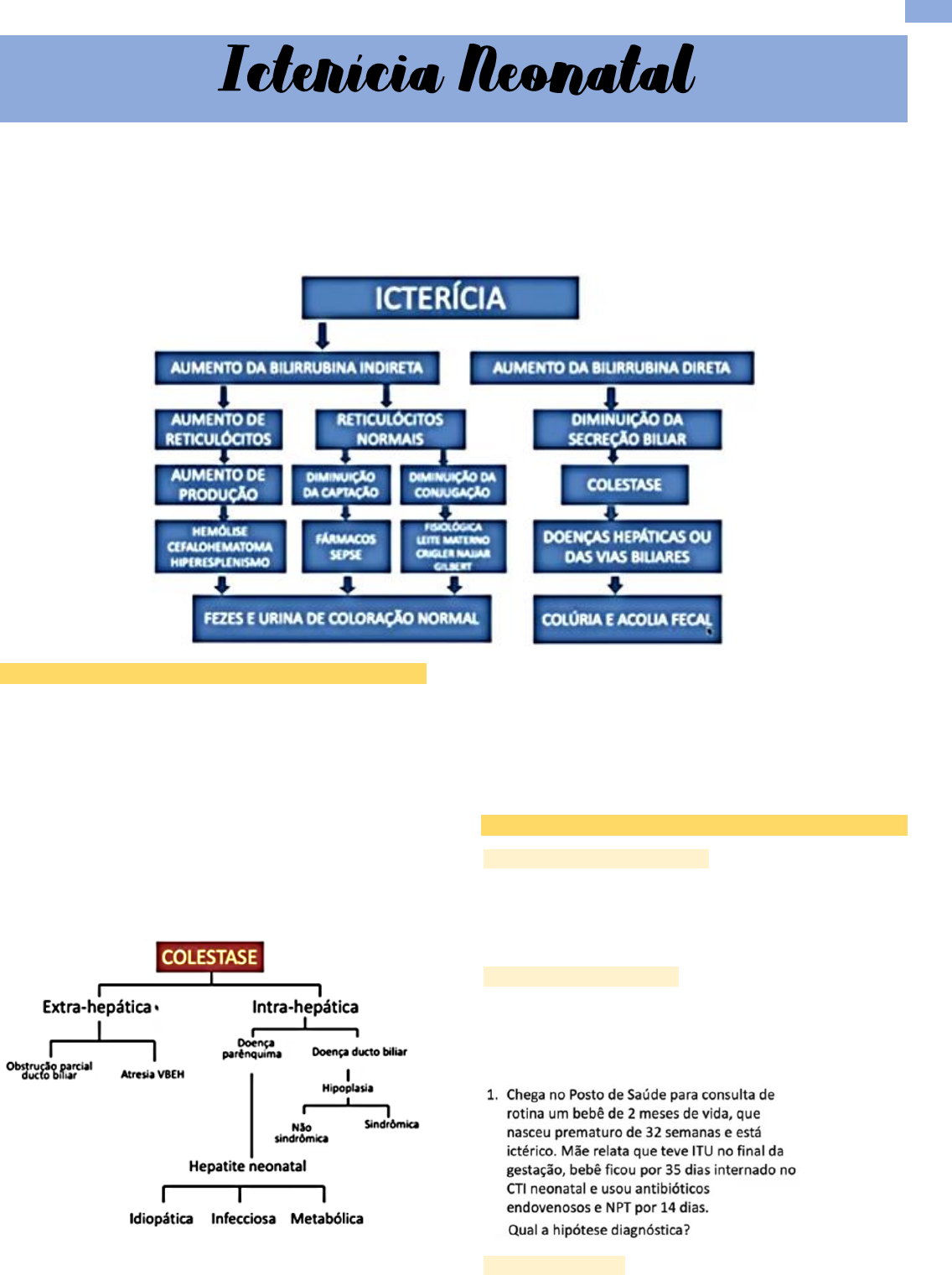 Icterícia e colestase neonatal