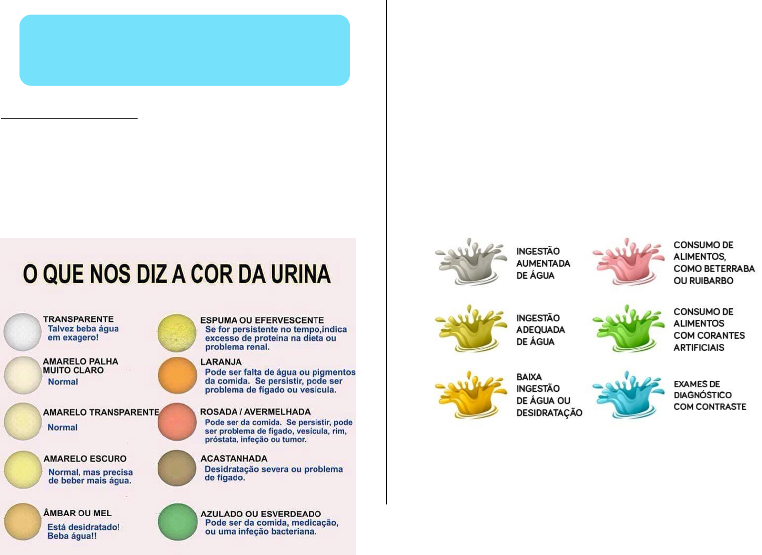 Grátis: Resumo Urina - Material Claro e Objetivo em PDF para Estudo Rápido