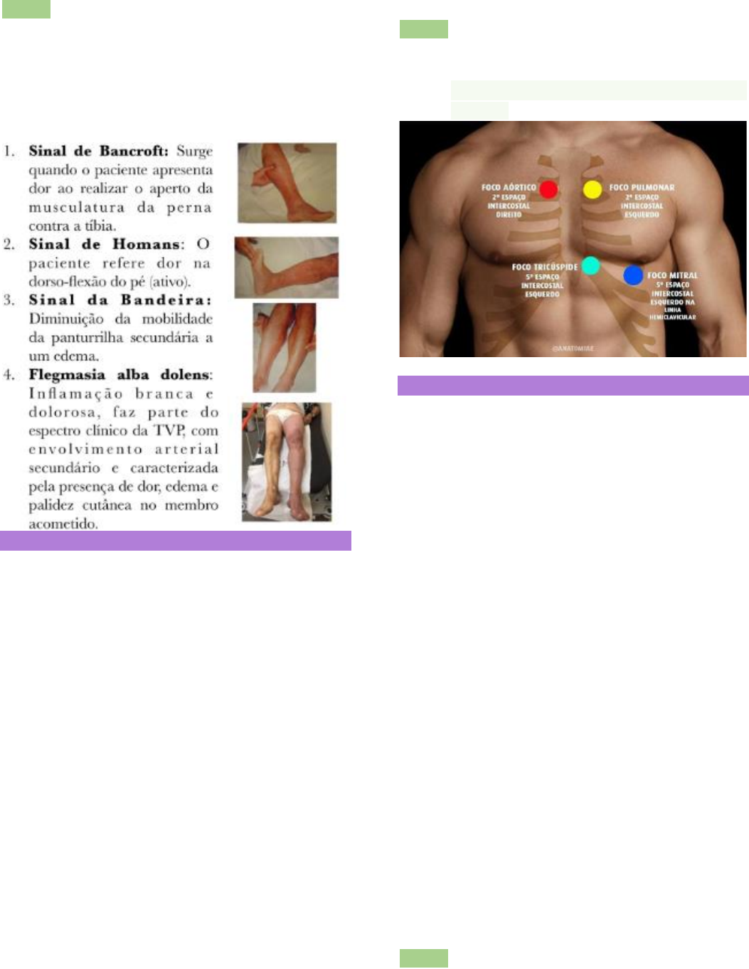 Elabore Medicina! on X: Curioso caso de febre e diarreia em um homem de 70  anos. Você pensaria nesse diagnóstico? #medtwitterbr #clinicamedica  #elaboremedicina  / X