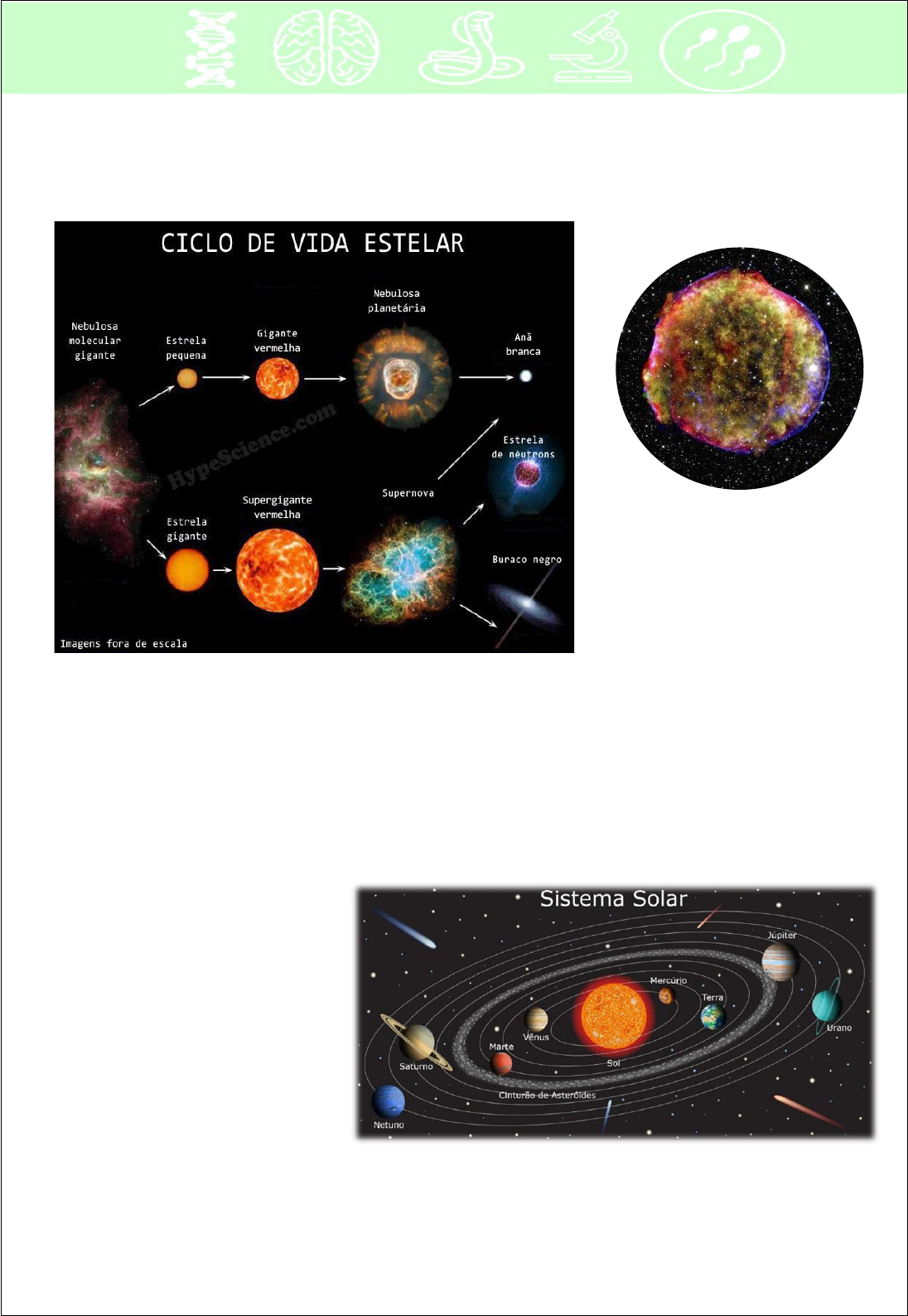 A vida de uma estrela. – Ciência Todo dia, image size:1096x1588