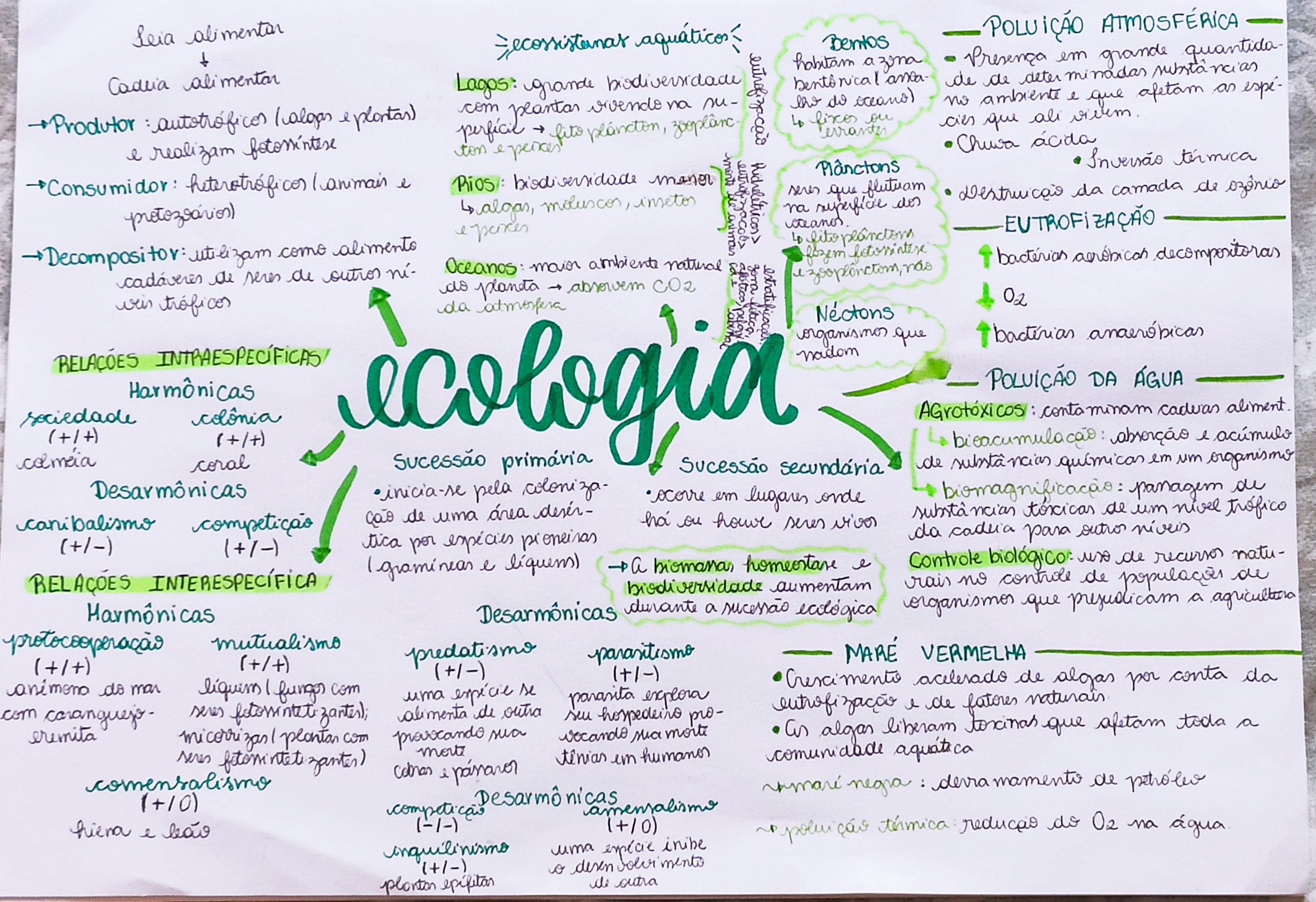 Mapa Mental De Ecologia Tienes Que Saber Esto Images Vrogue Co