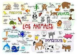 Nomes de Animais em espanhol Flashcards