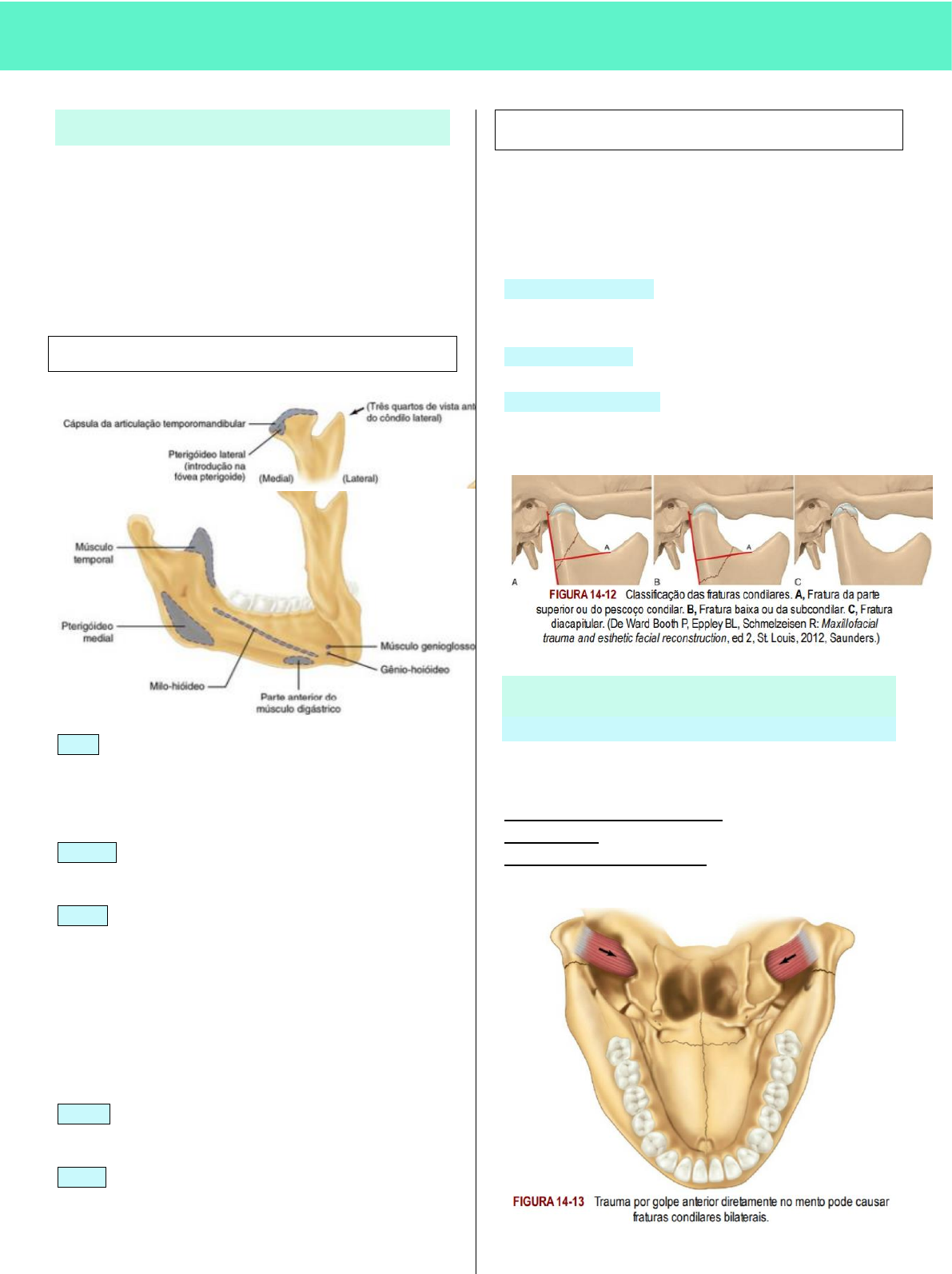 Fraturas mandibulares Cirurgia e Traumatologia Bucomaxilofacial