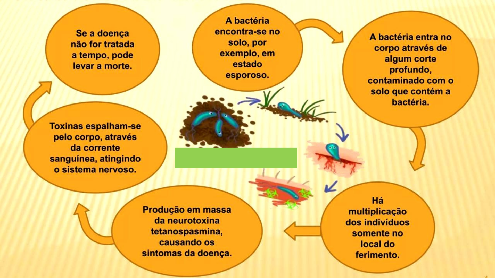Grátis: TÉTANO - MICROBIOLOGIA - Material Claro e Objetivo em PDF para  Estudo Rápido, image size:1920x1080