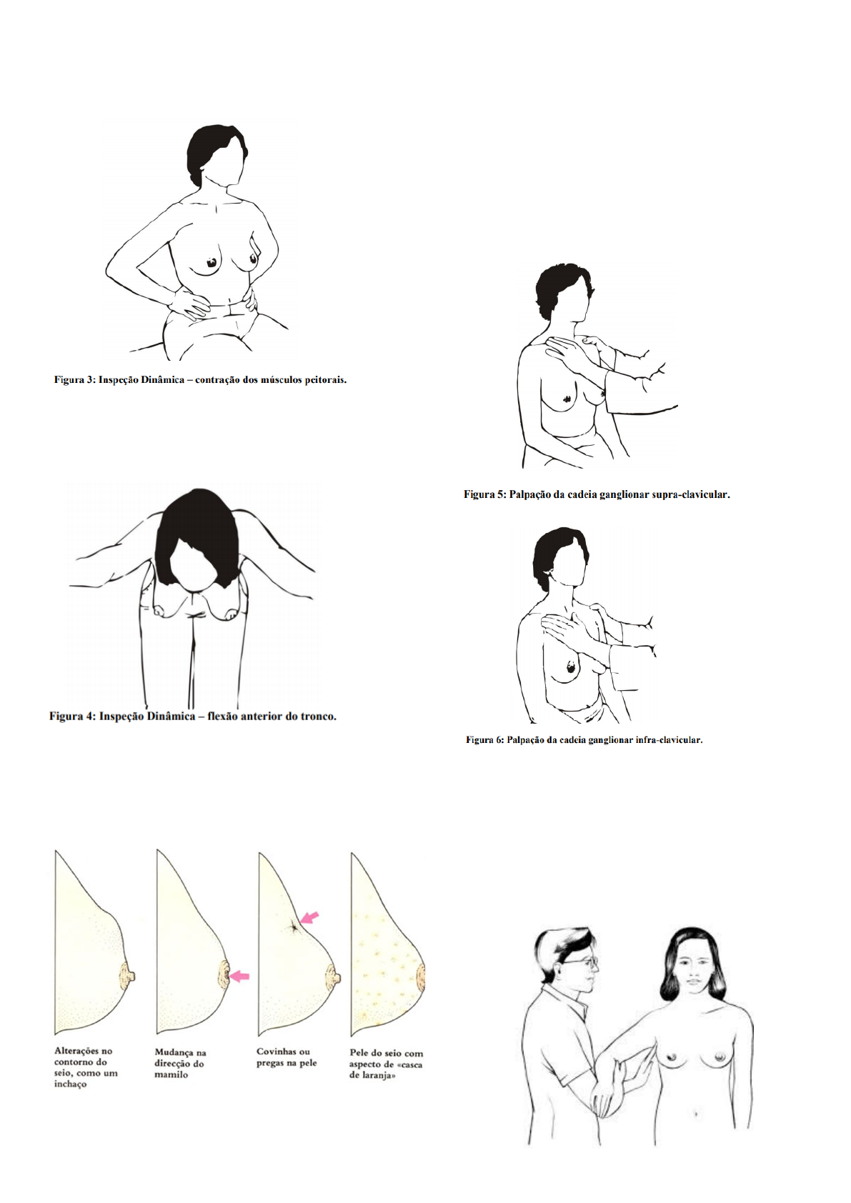 Grátis: Mamas - Material Claro e Objetivo em PDF para Estudo Rápido, image size:1191x1684