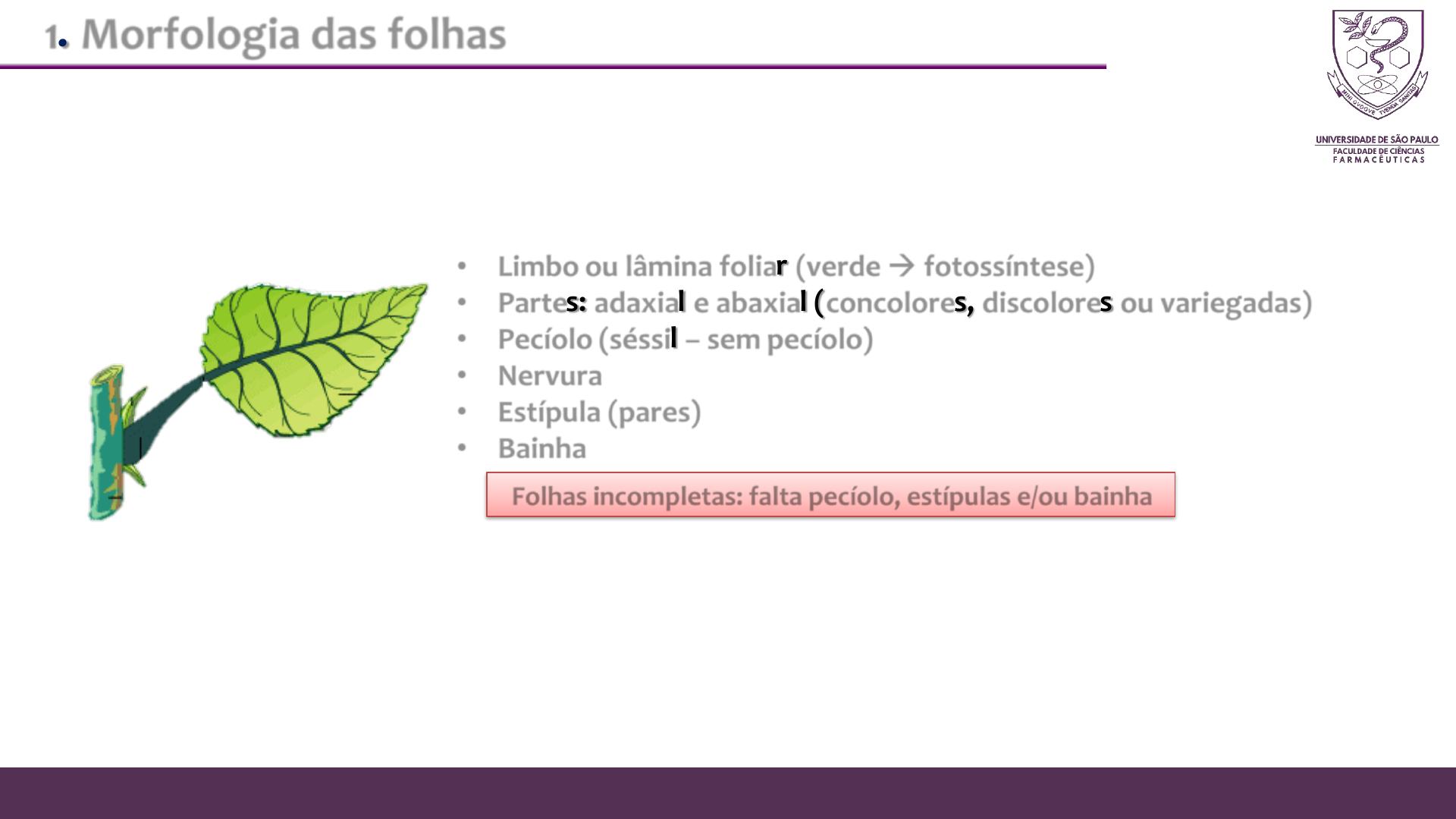 Folha Dentada - 2 - Disciplina - Ciências