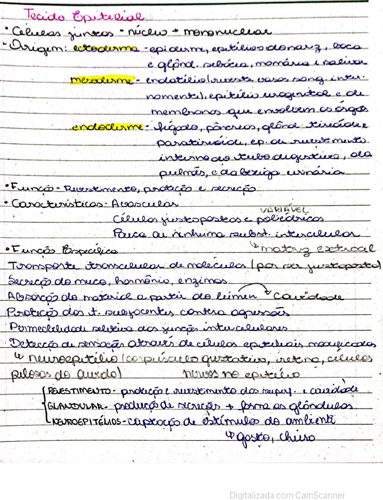 Tecido Epitelial Histologia I