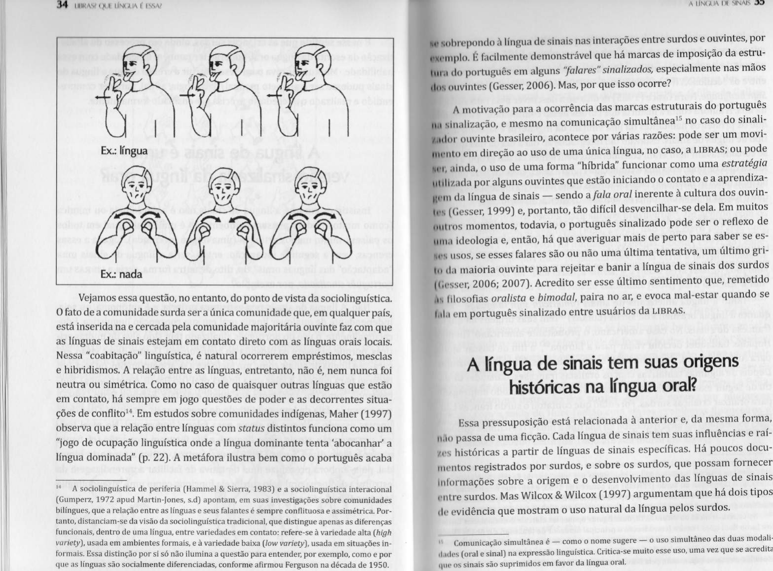 A Linguagem dos Pássaros – William Henry | Esta Hora Real, image size:1568x1158