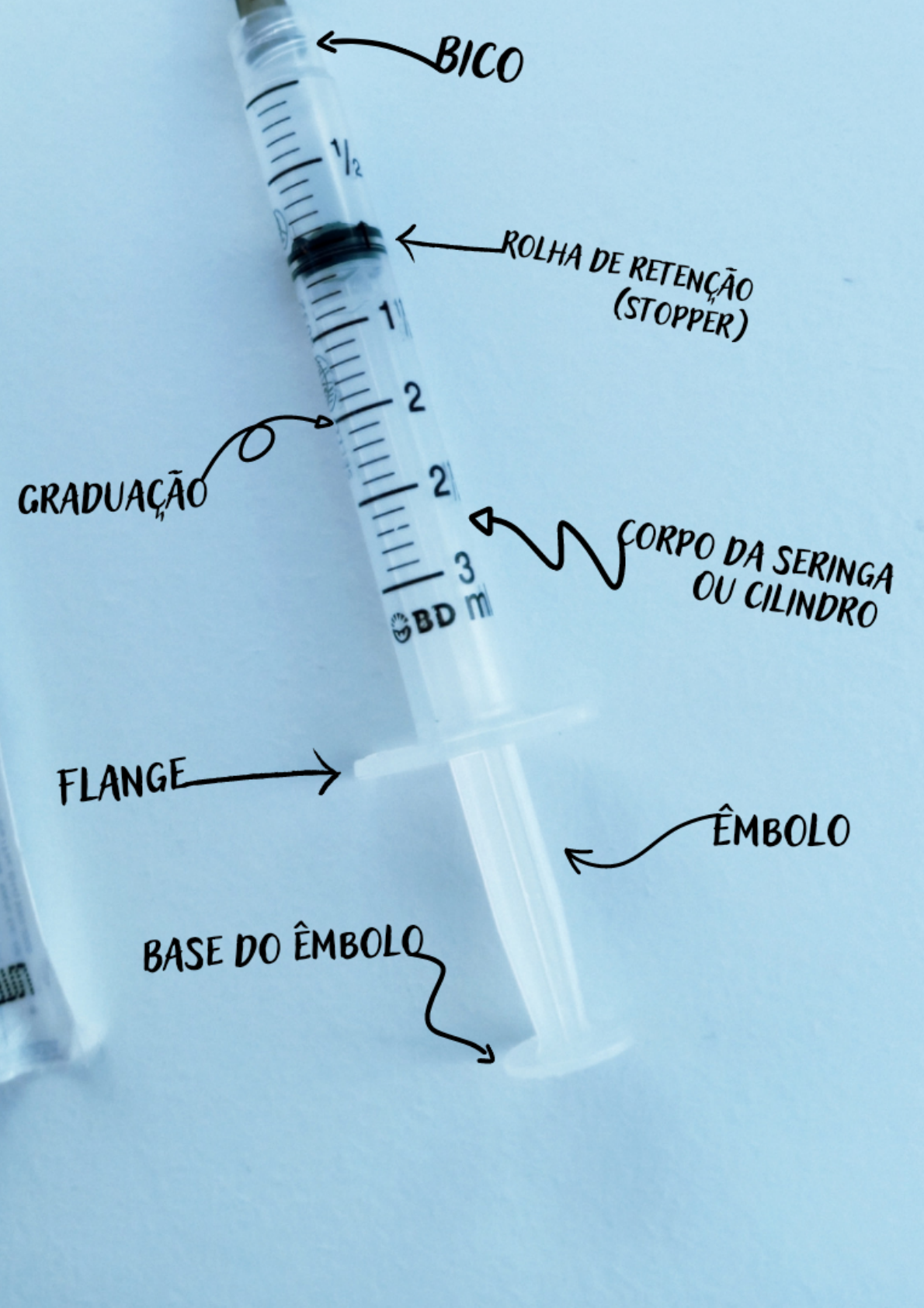 Seringa