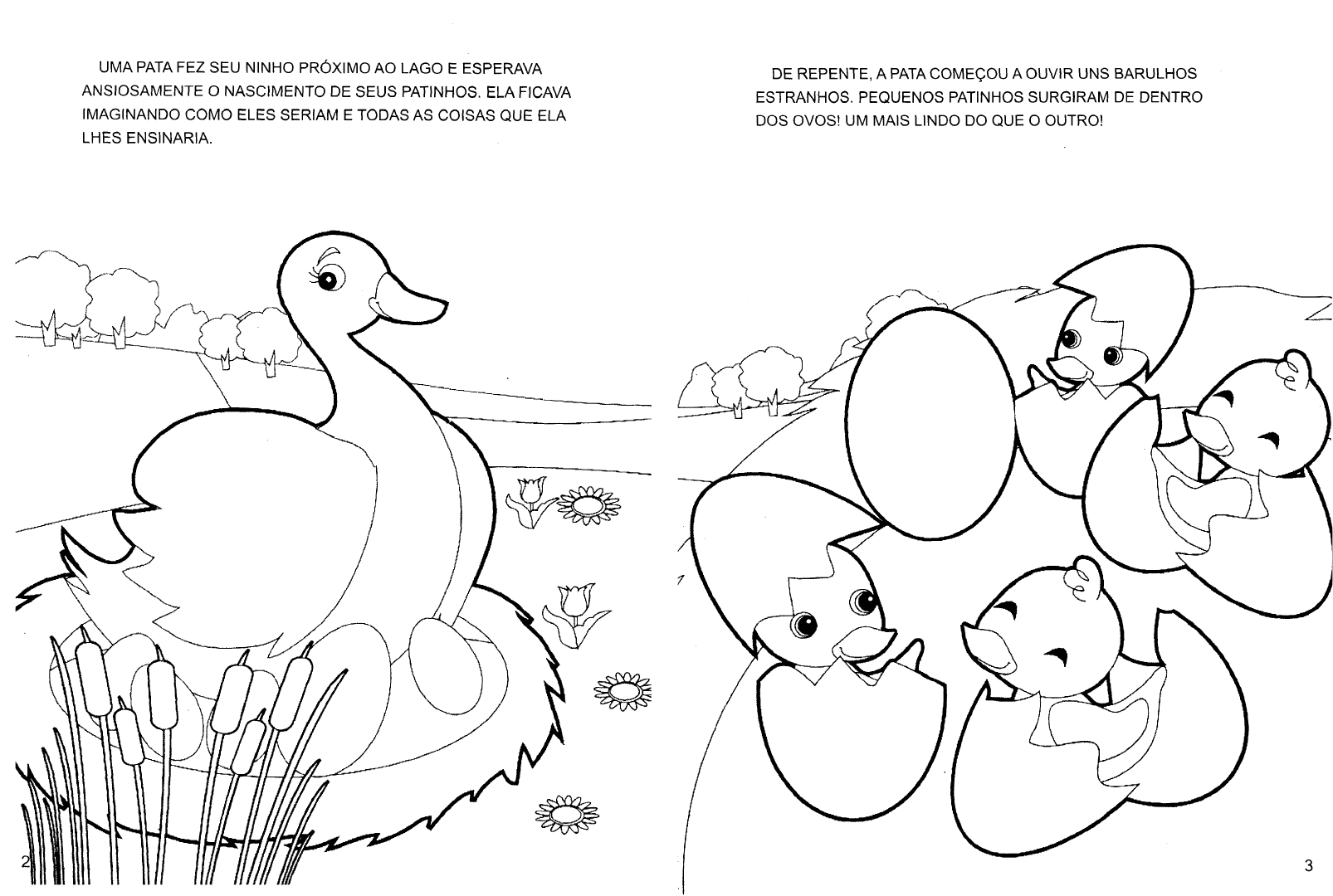 HISTÓRIA DO PATINHO FEIO PARA LER, PINTAR, COLORIR LIVRO - ESPAÇO