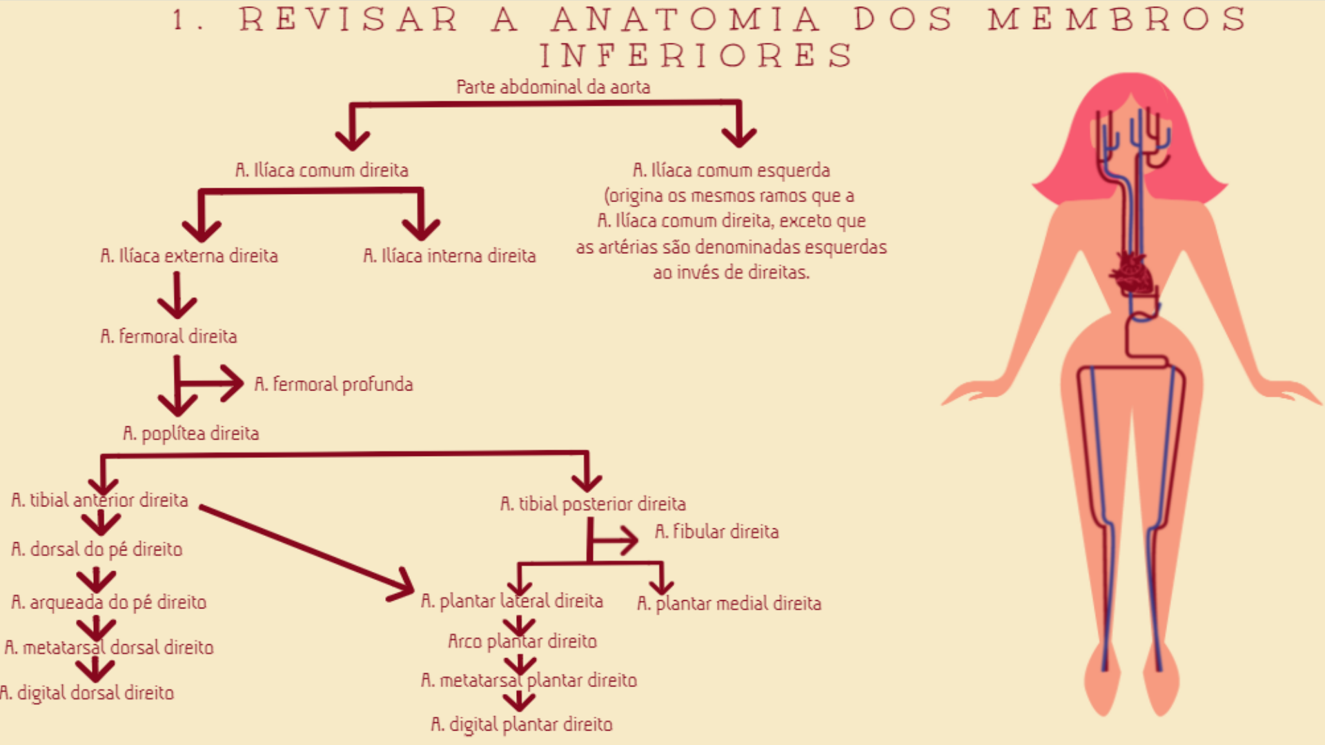 Slide Doença Arterial Obstrutiva Periférica Patologia I